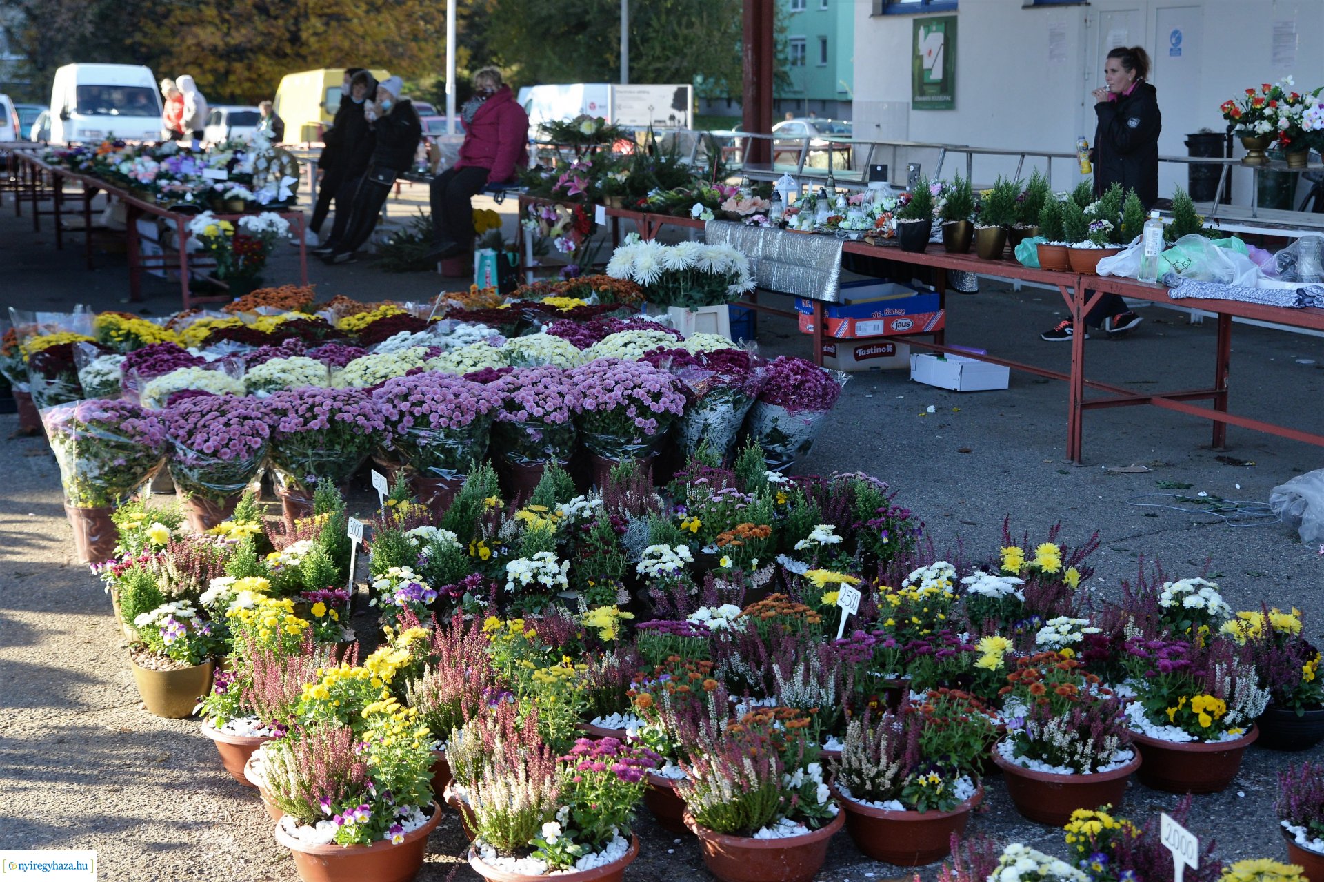 Az emlékezés virágai...