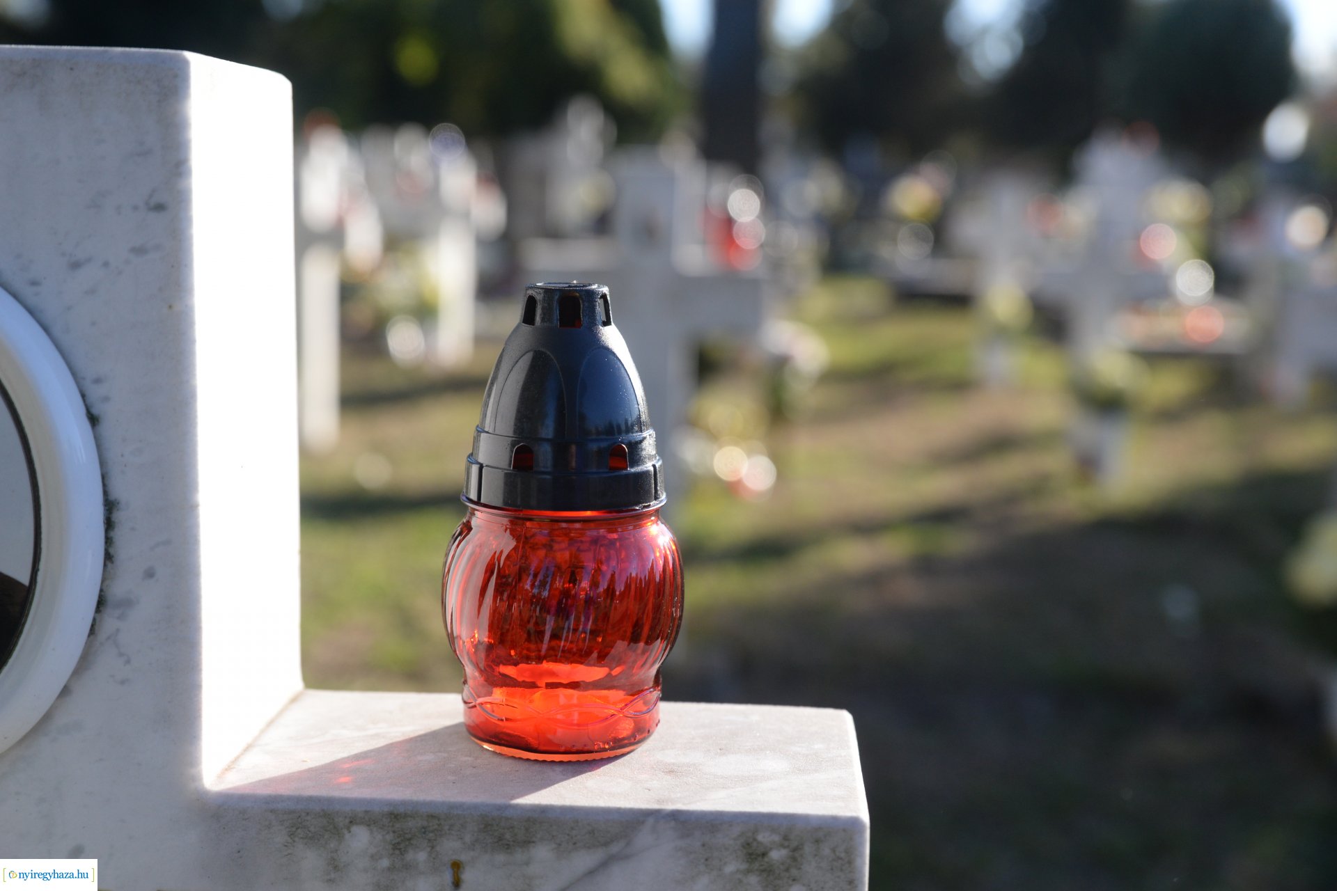 Az emlékezés virágai...