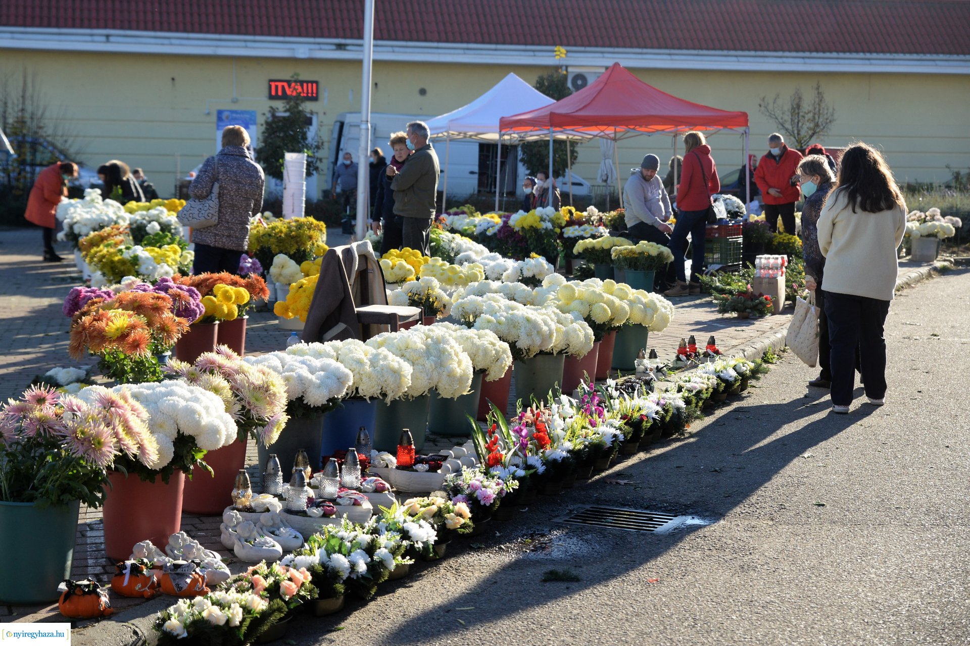 Az emlékezés virágai...