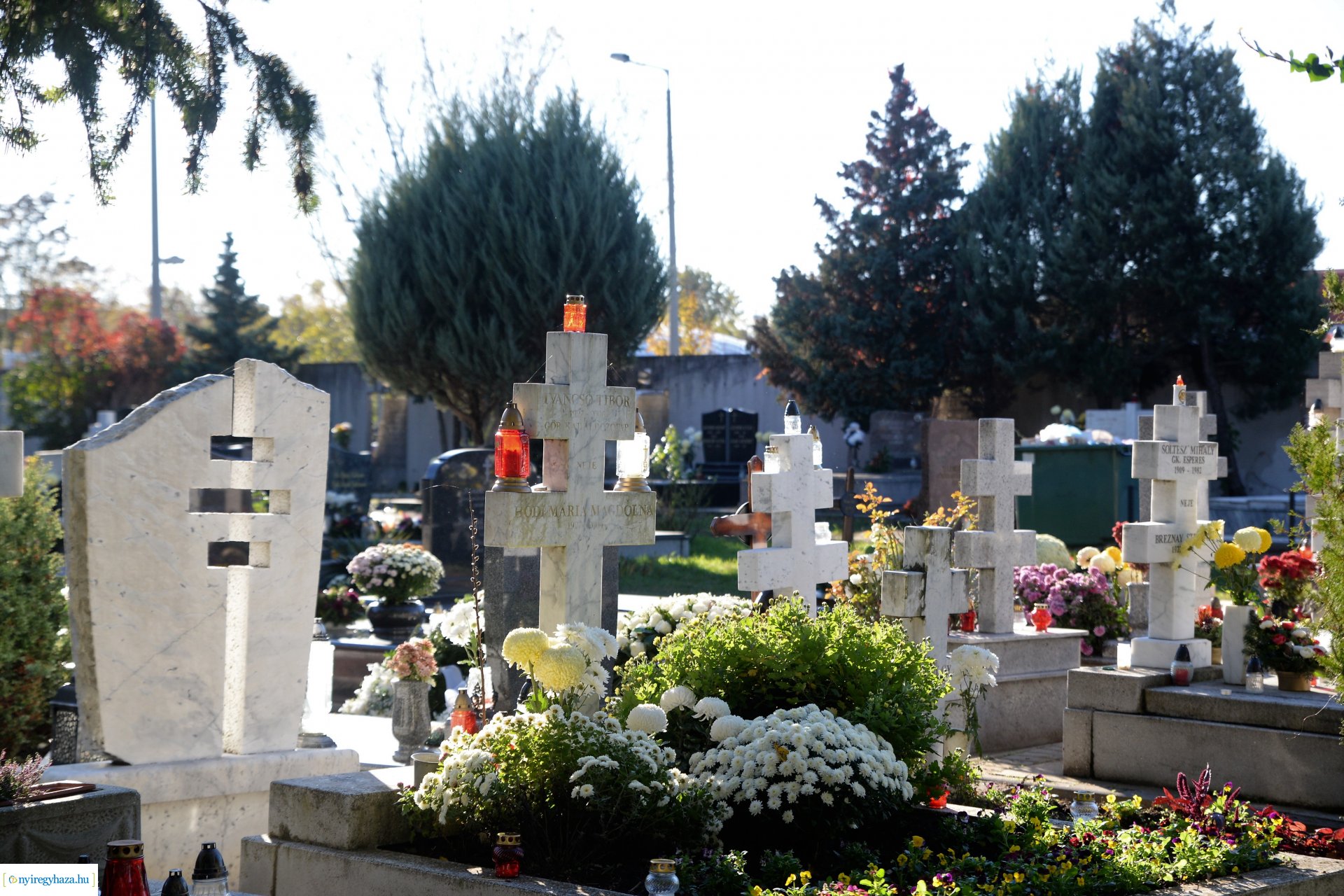 Az emlékezés virágai...