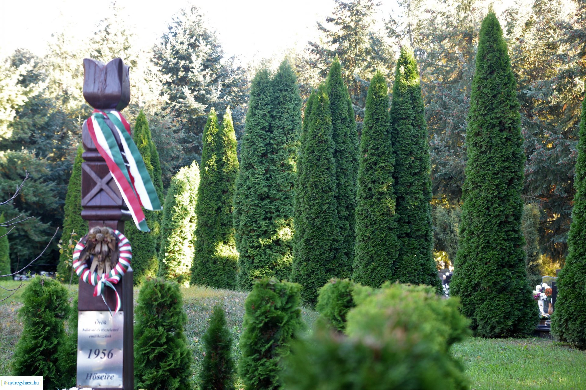 Az emlékezés virágai...