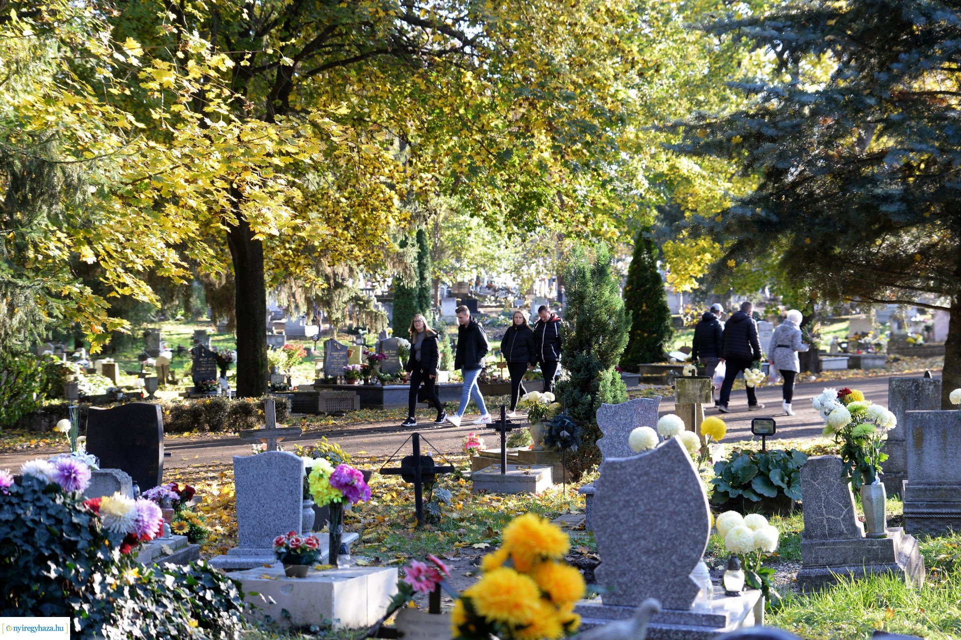 Az emlékezés virágai...