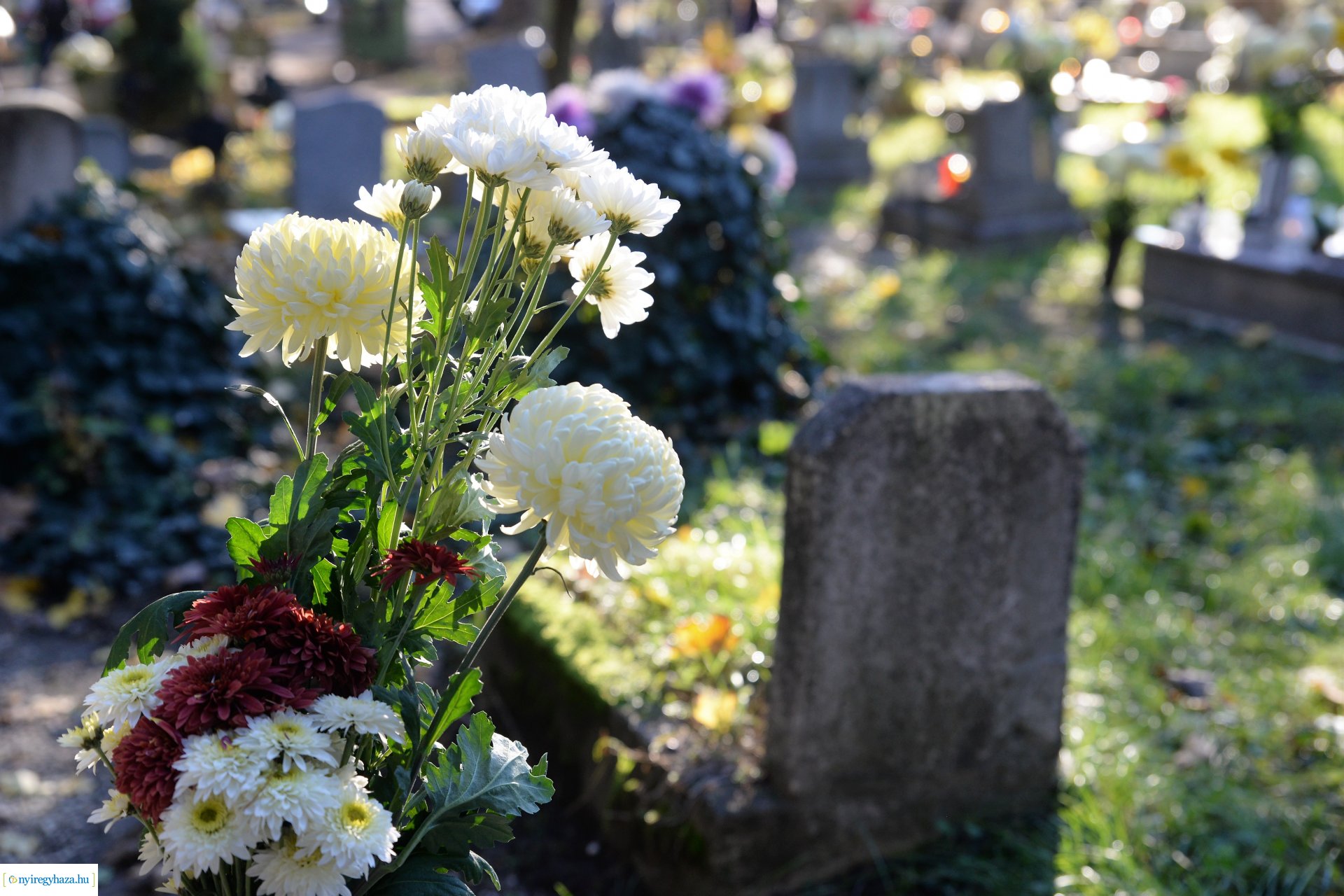 Az emlékezés virágai...
