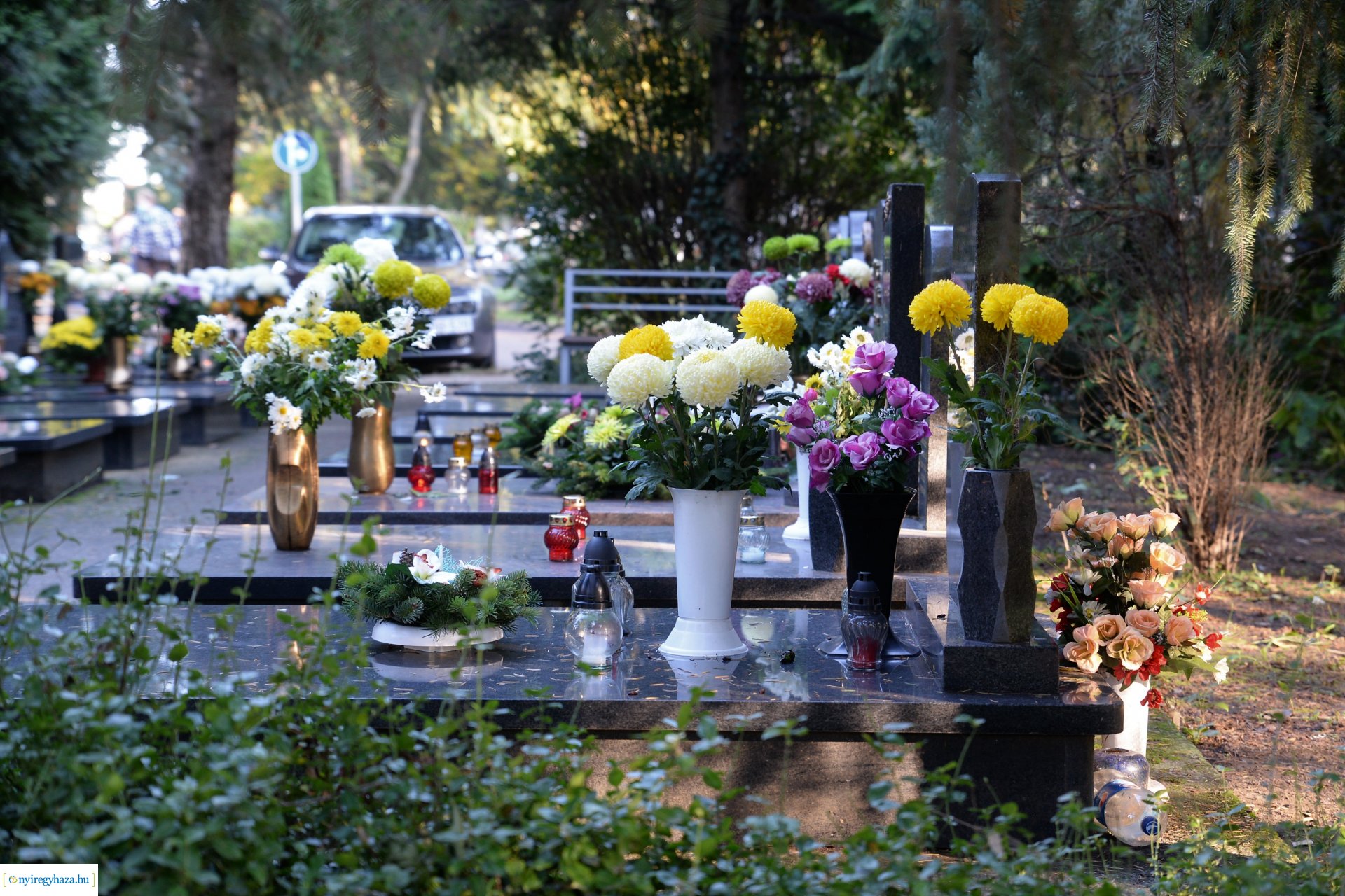 Az emlékezés virágai...