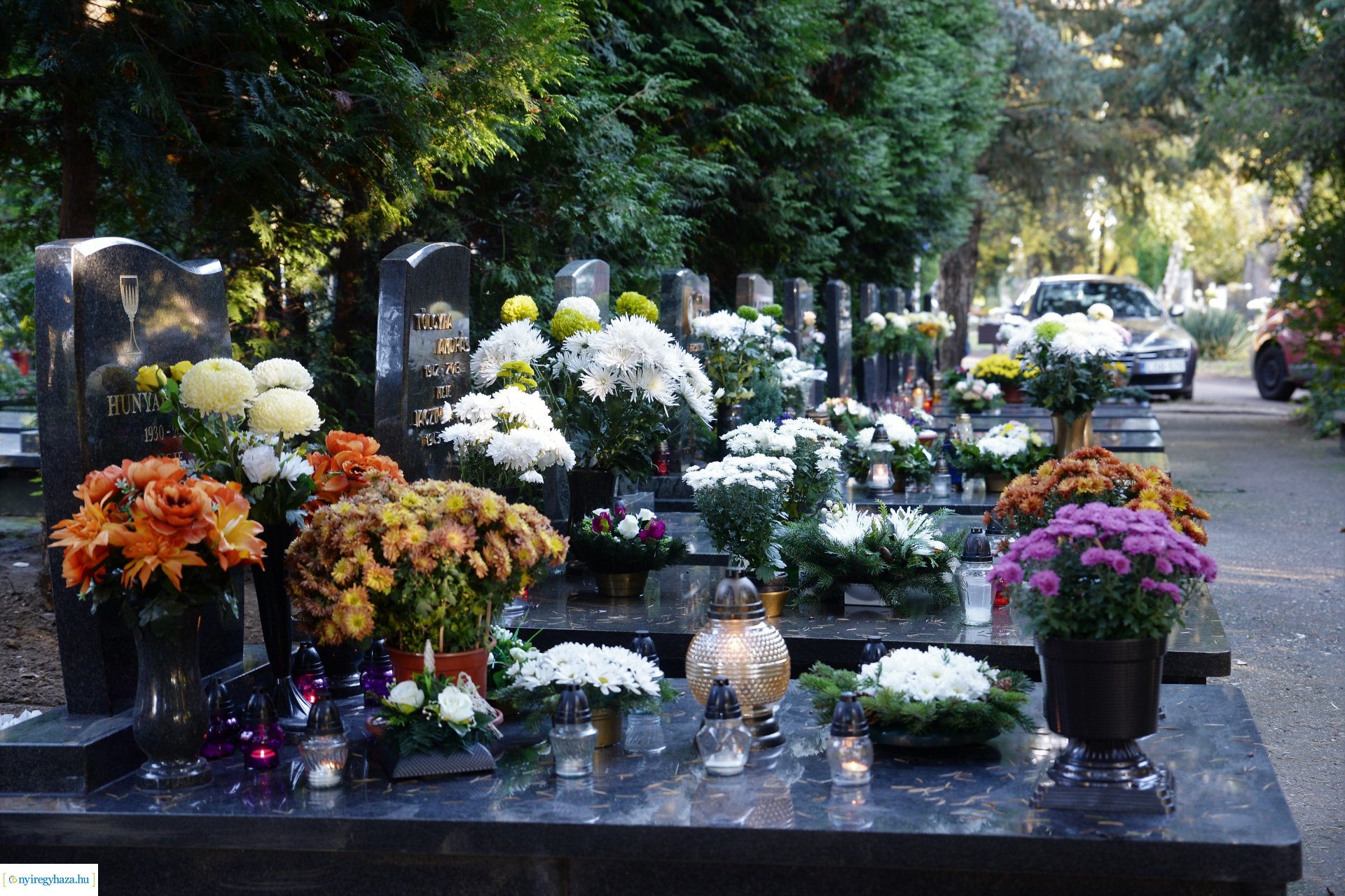 Az emlékezés virágai...