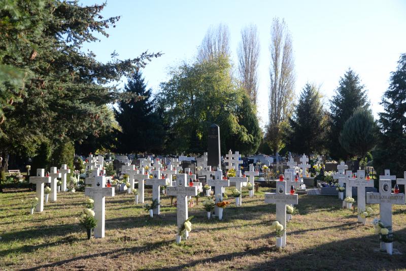Az emlékezés virágai