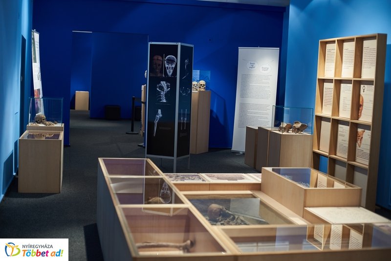 Az Év múzeuma 2019