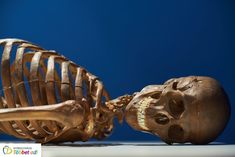 Az Év múzeuma 2019