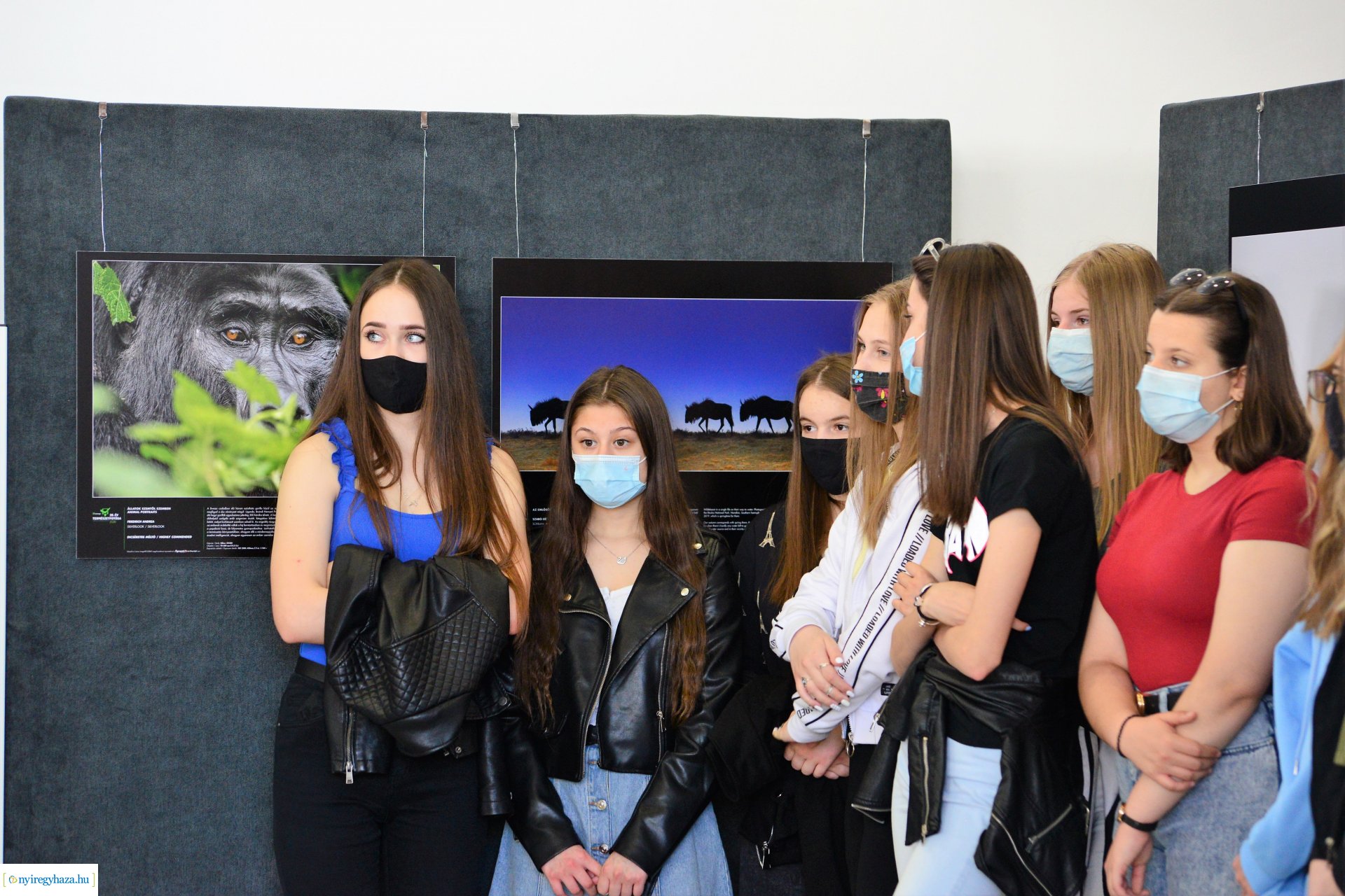 Az Év Természetfotósa 2020 - kiállításmegnyitó