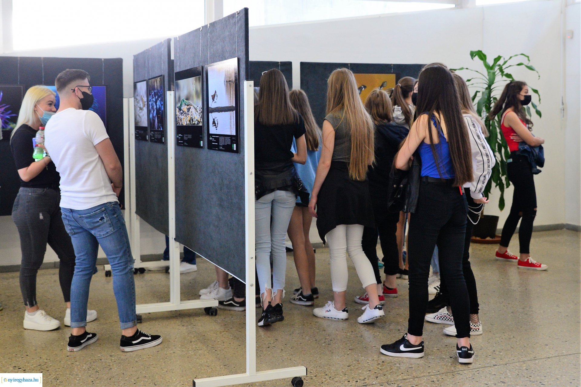 Az Év Természetfotósa 2020 - kiállításmegnyitó