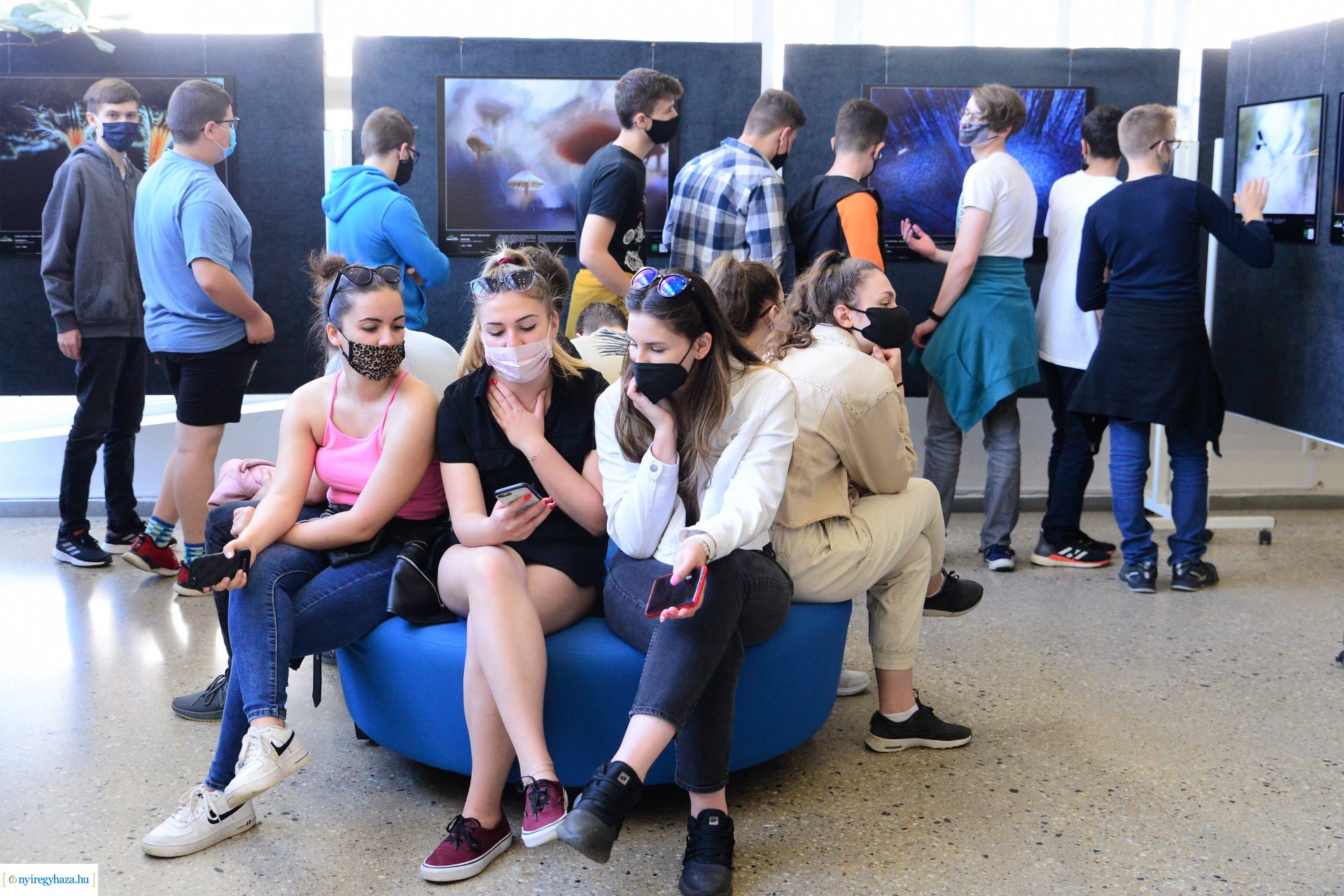 Az Év Természetfotósa 2020 - kiállításmegnyitó