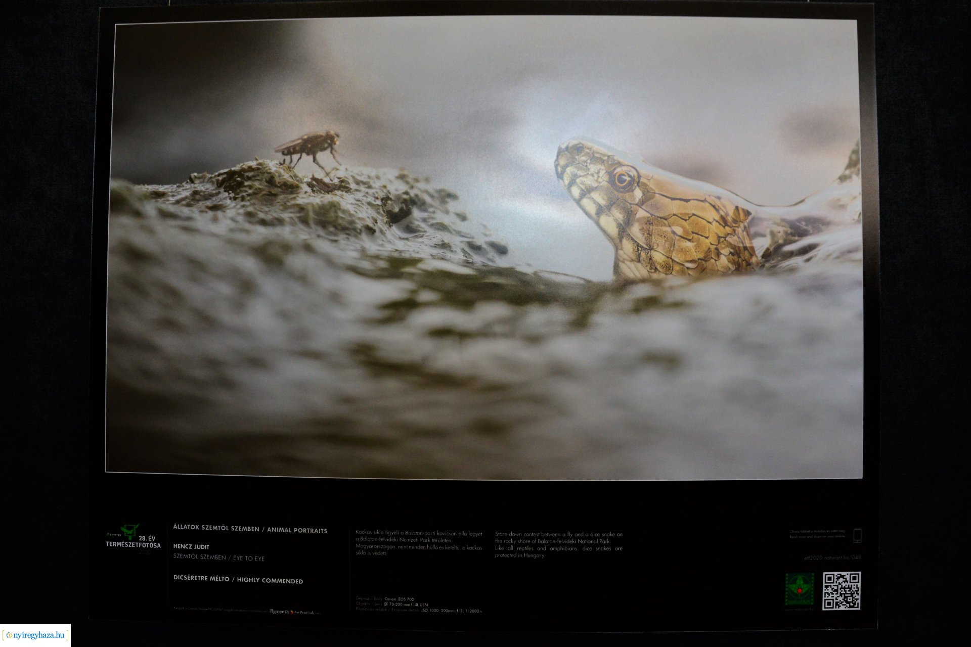 Az Év Természetfotósa 2020 - kiállításmegnyitó