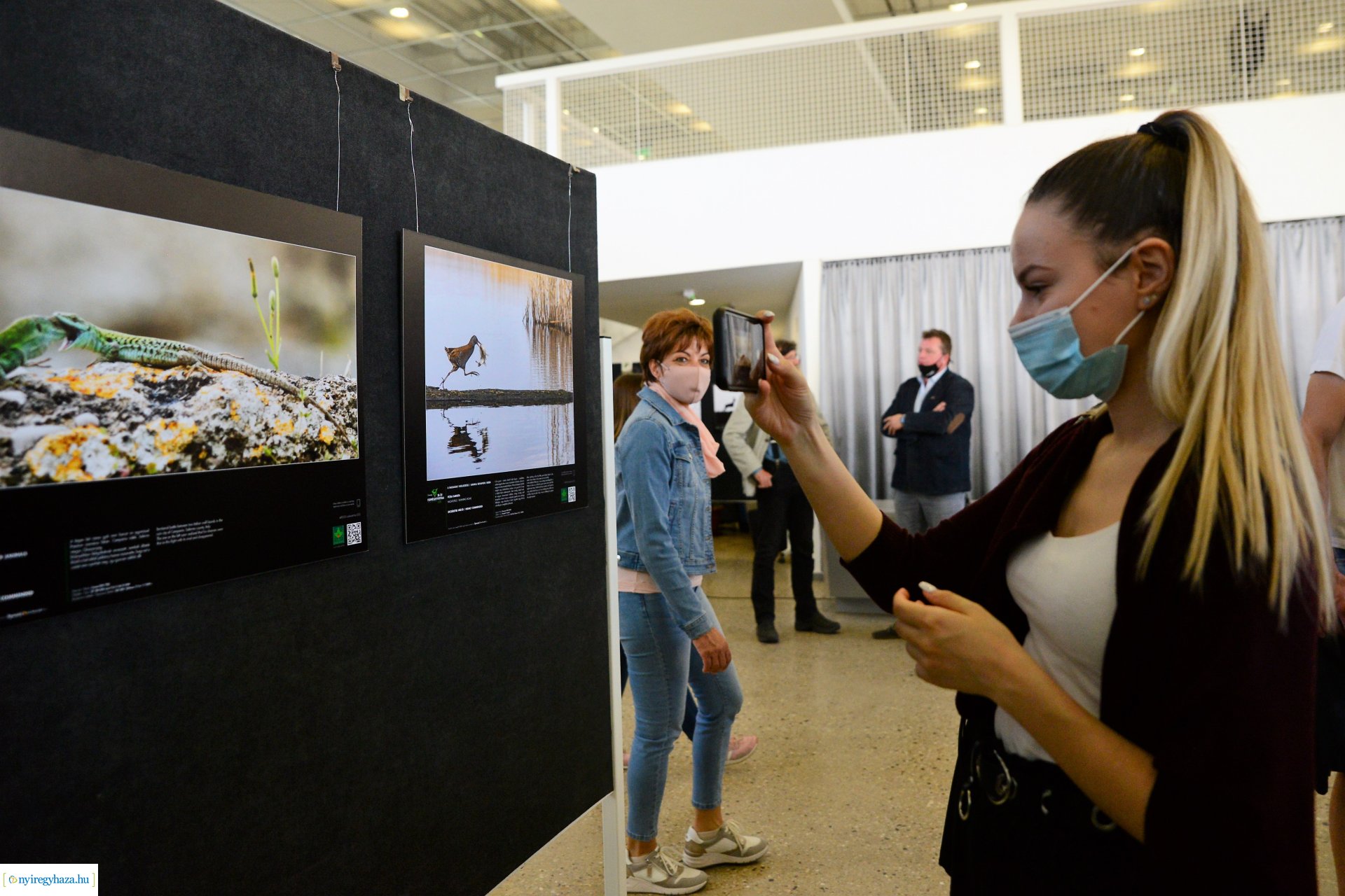 Az Év Természetfotósa 2020 - kiállításmegnyitó