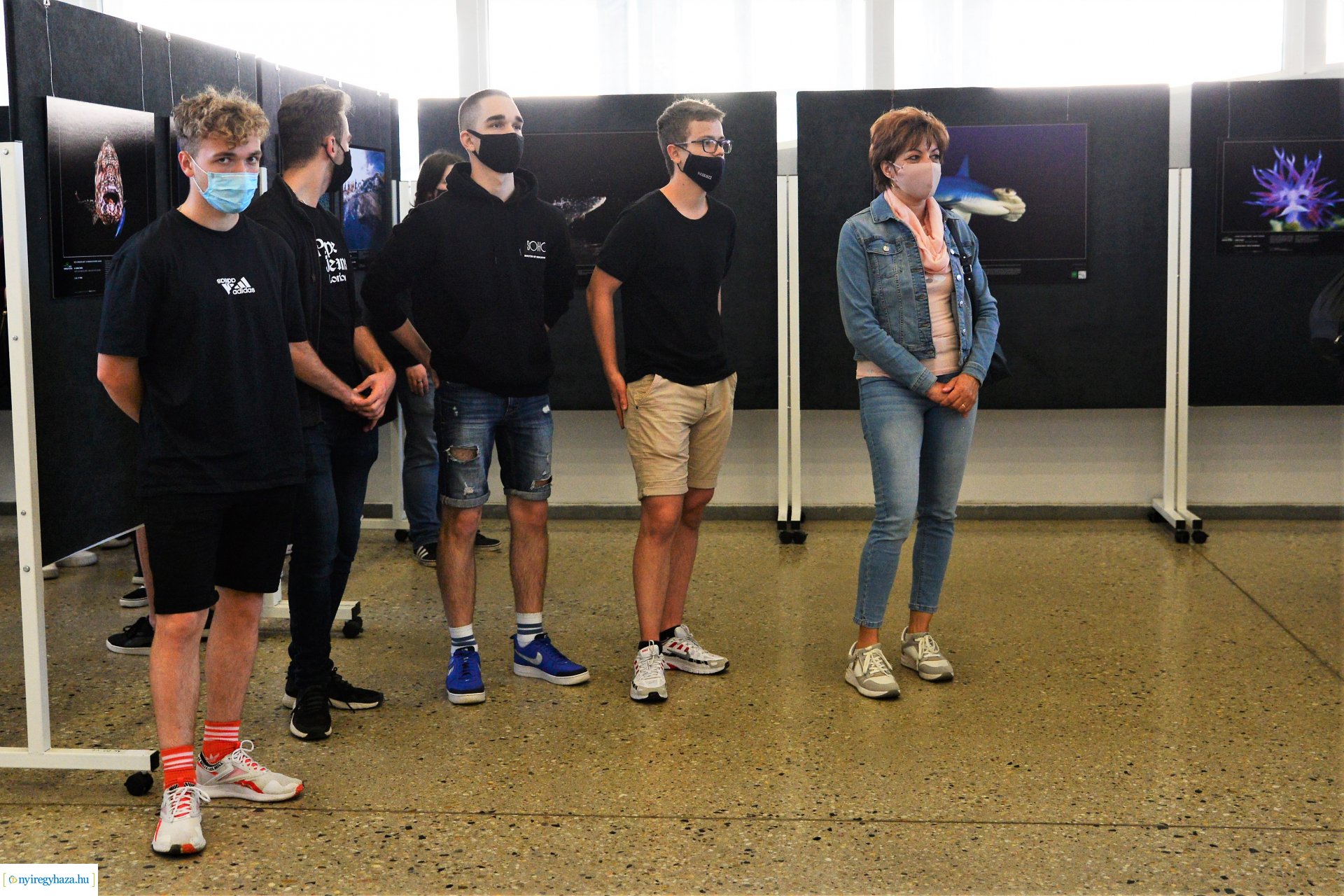 Az Év Természetfotósa 2020 - kiállításmegnyitó