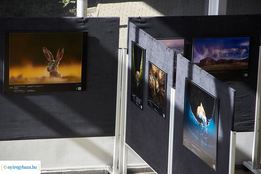 Az Év Természetfotósa 2021 - kiállítás