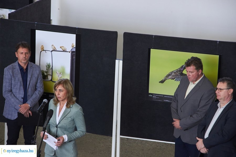 Az Év Természetfotósa 2021 - kiállítás