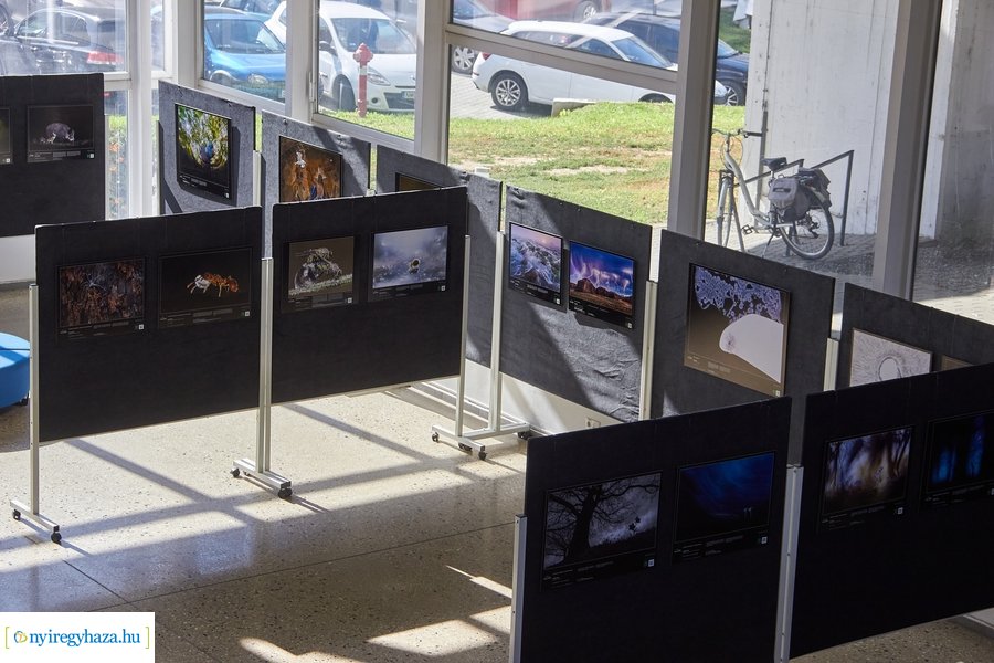 Az Év Természetfotósa 2021 - kiállítás