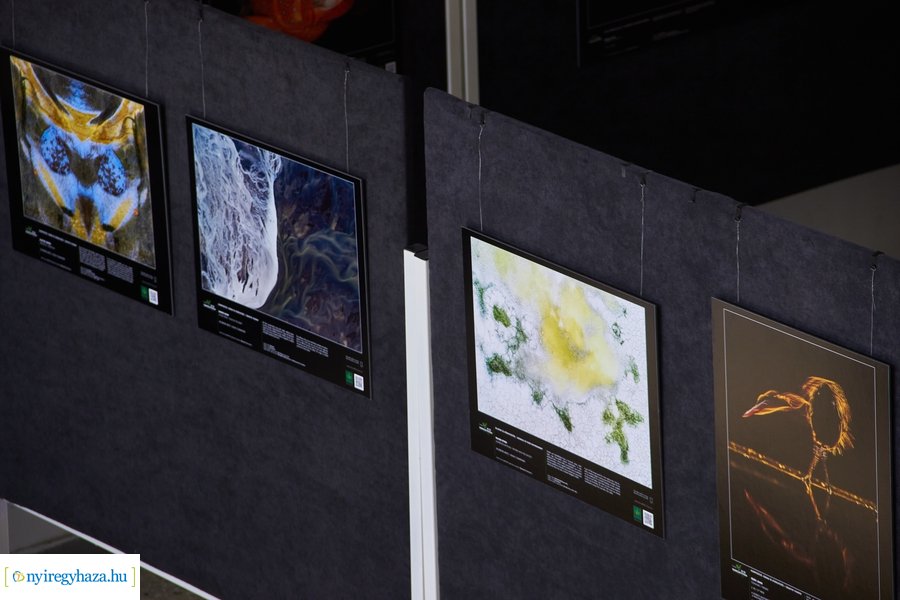 Az Év Természetfotósa 2021 - kiállítás