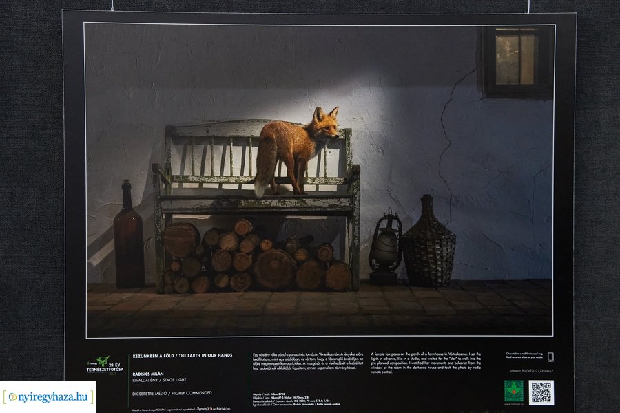 Az Év Természetfotósa 2021 - kiállítás