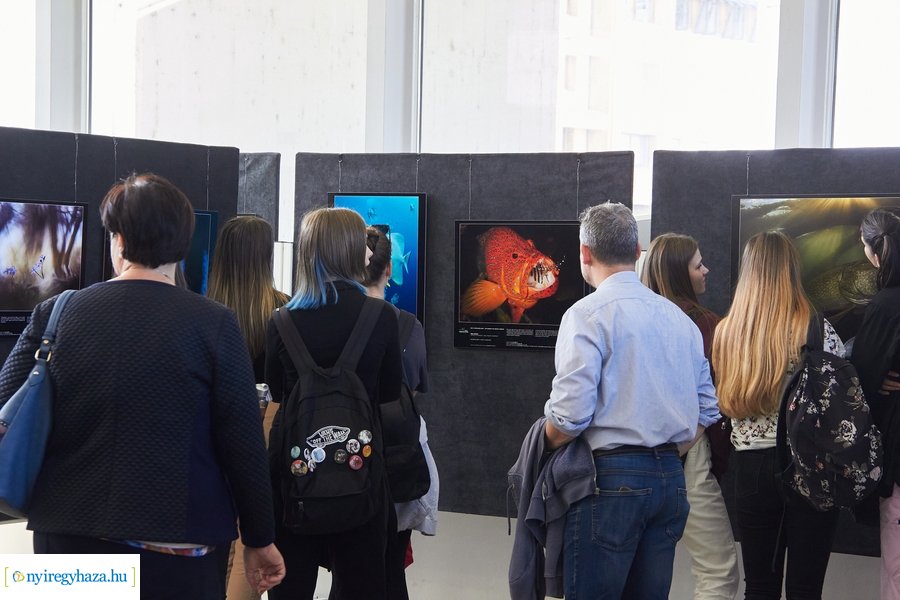 Az Év Természetfotósa 2021 - kiállítás