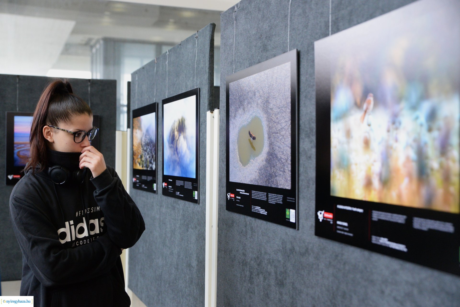 Az év természetfotósa 2022 - kiállításmegnyitó a VMKK-ban