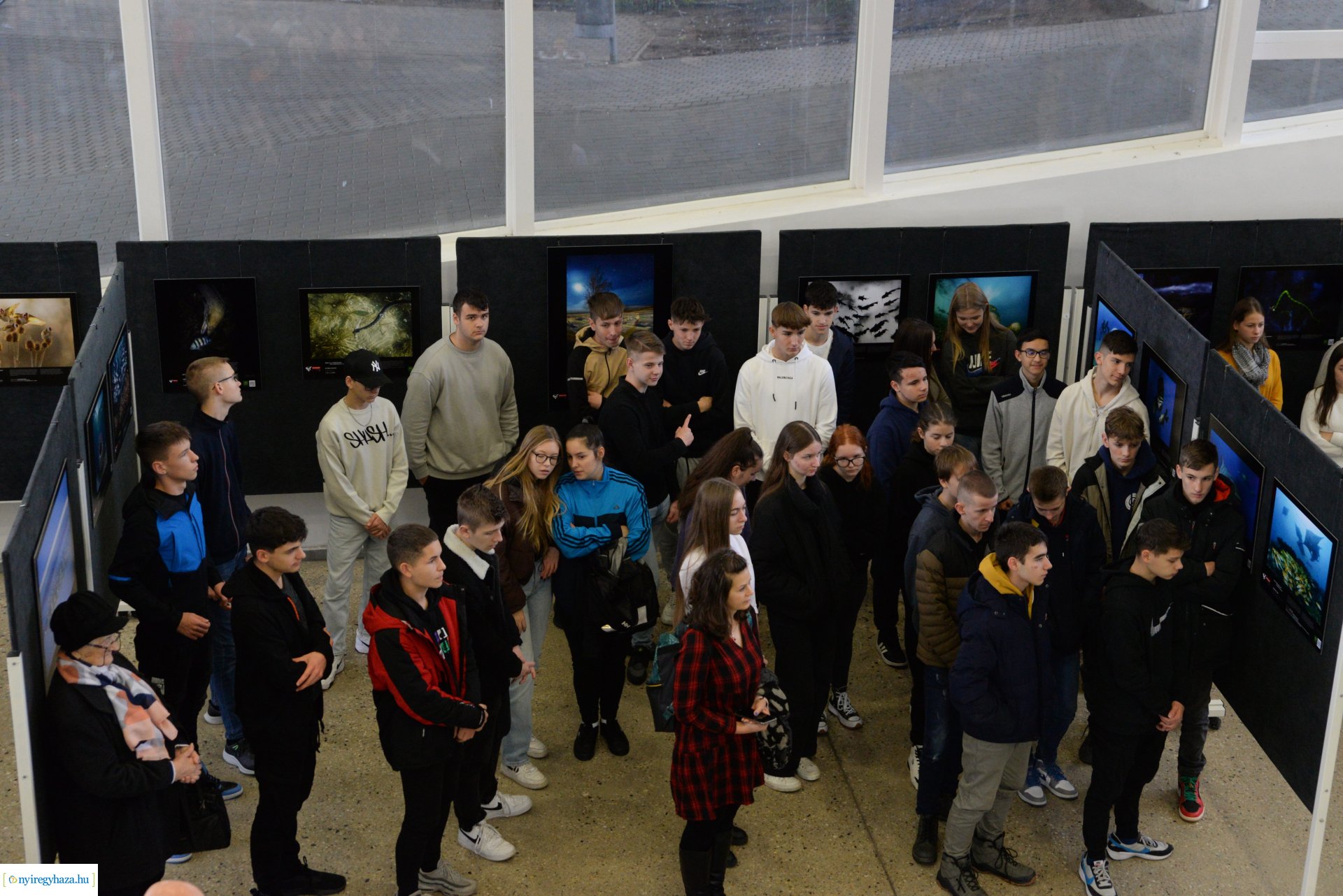 Az év természetfotósa 2022 - kiállításmegnyitó a VMKK-ban