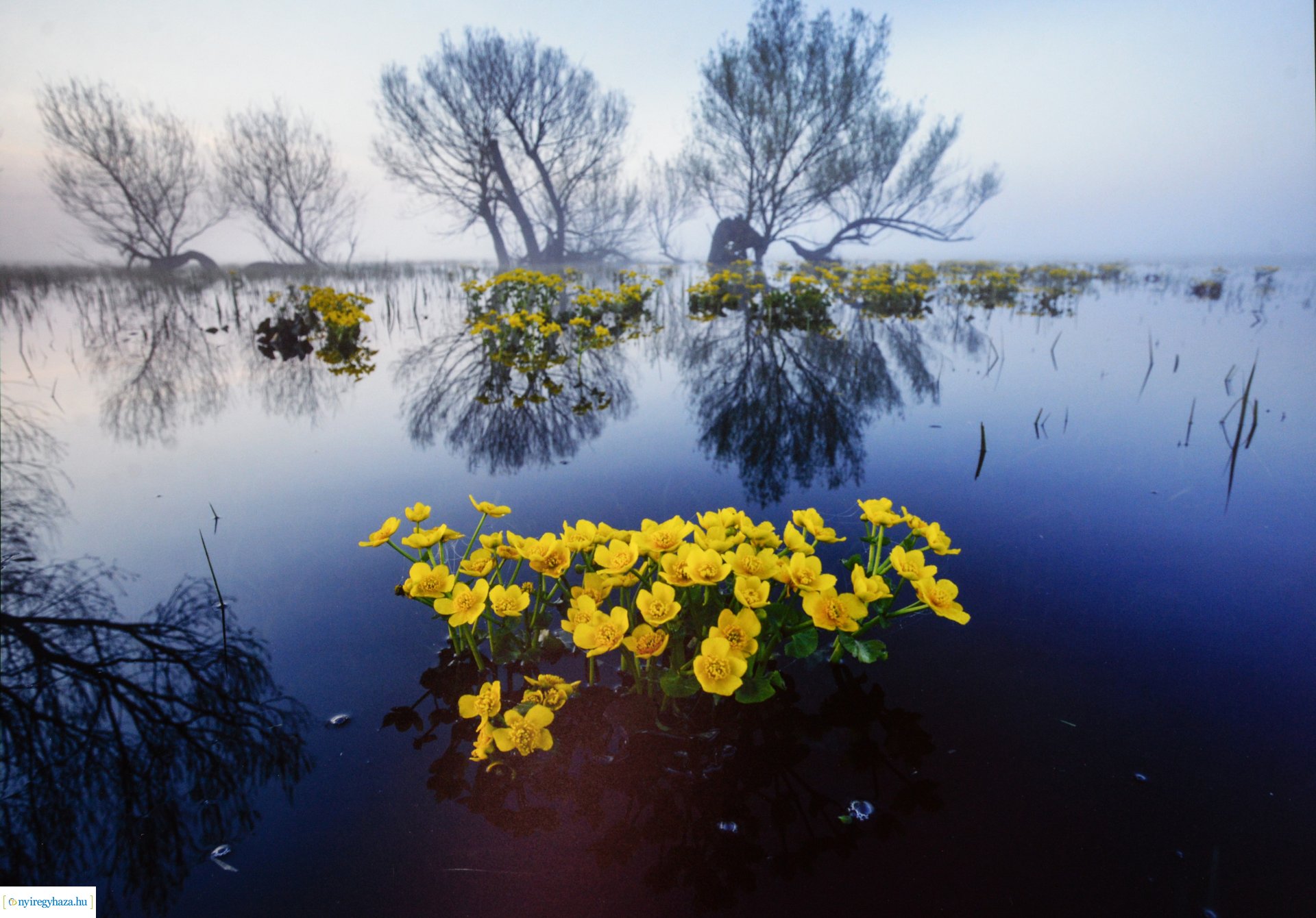 Az év természetfotósa 2022 - kiállításmegnyitó a VMKK-ban