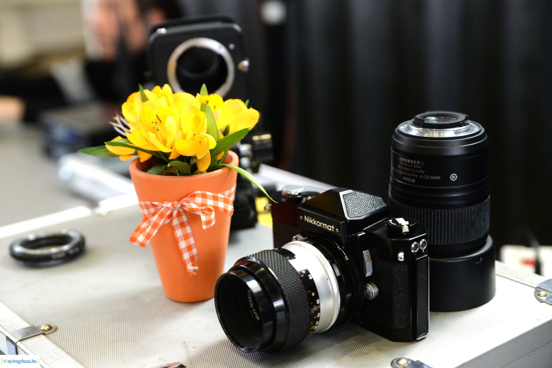 Az év természetfotósa 2022 - kiállításmegnyitó a VMKK-ban