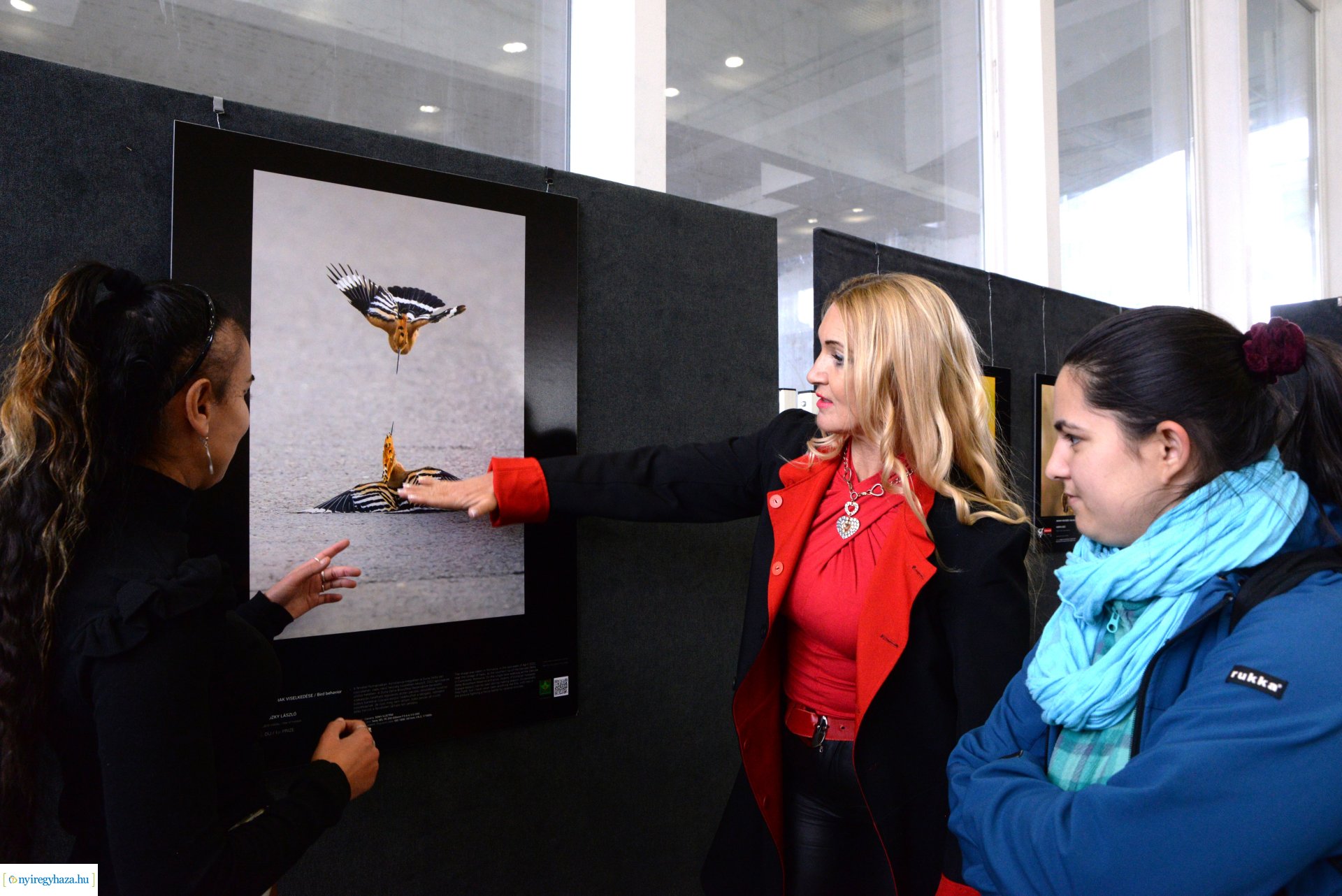 Az év természetfotósa 2022 - kiállításmegnyitó a VMKK-ban