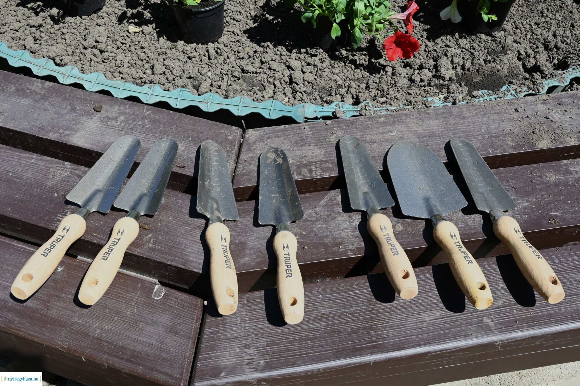 Az ÖKOSuli program keretében a belvárost virágosították a Petőfisek