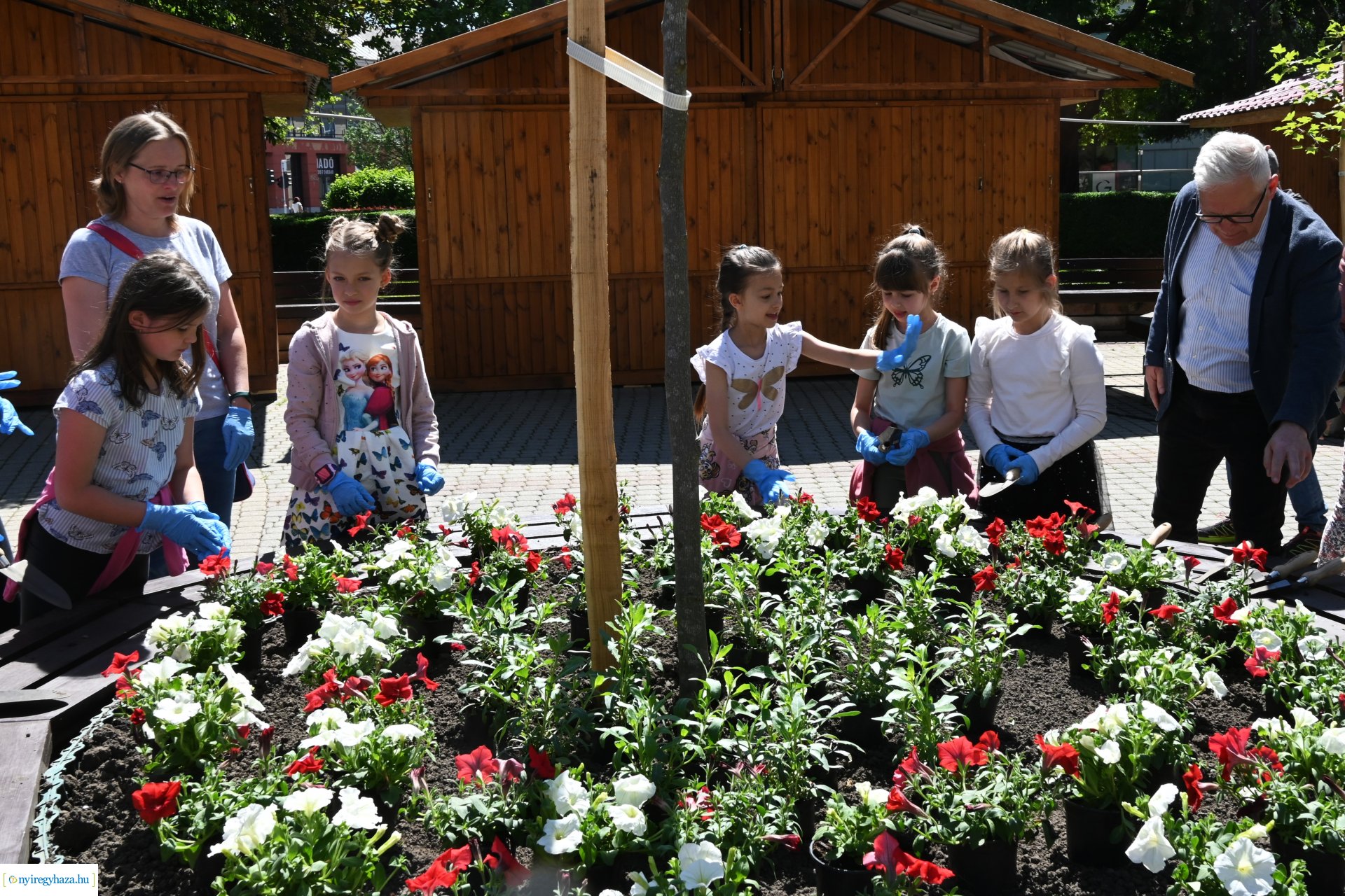 Az ÖKOSuli program keretében a belvárost virágosították a Petőfisek