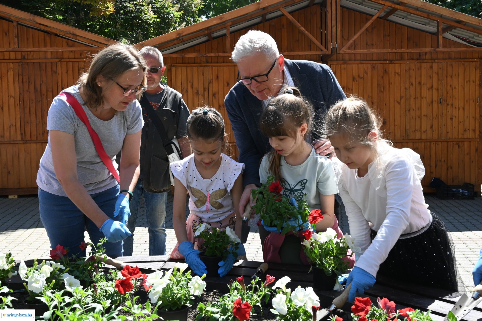 Az ÖKOSuli program keretében a belvárost virágosították a Petőfisek