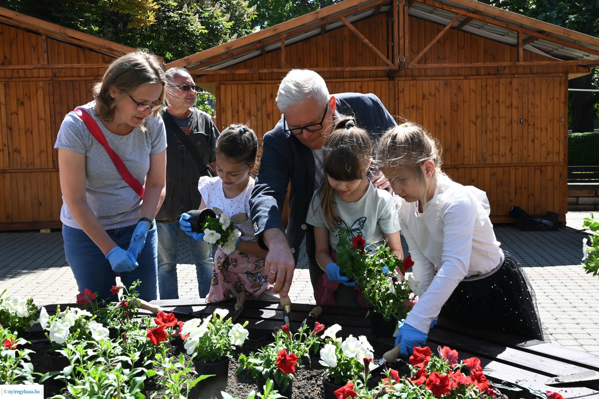 Az ÖKOSuli program keretében a belvárost virágosították a Petőfisek