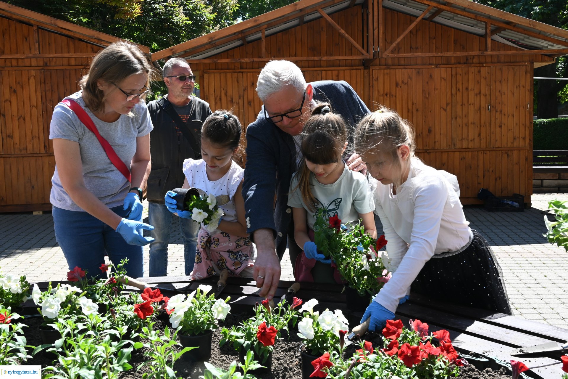 Az ÖKOSuli program keretében a belvárost virágosították a Petőfisek