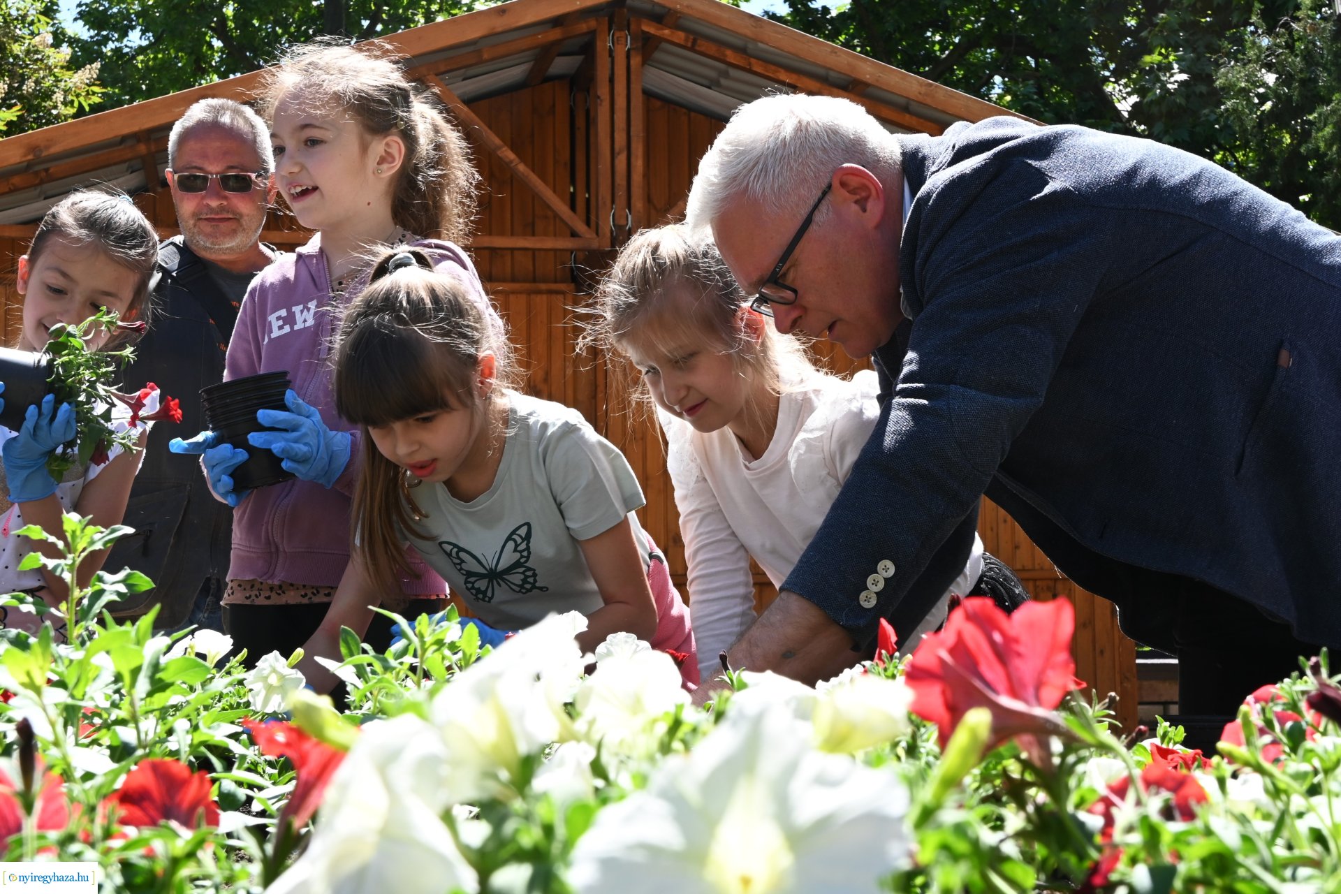 Az ÖKOSuli program keretében a belvárost virágosították a Petőfisek