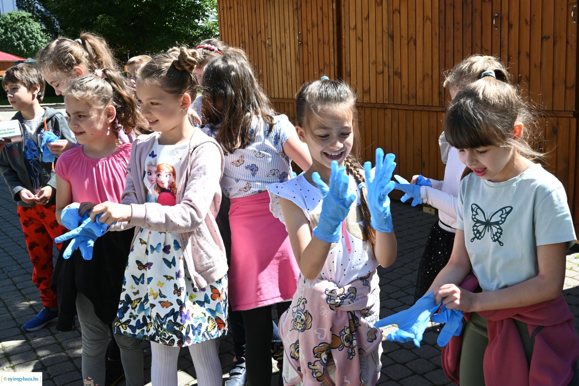 Az ÖKOSuli program keretében a belvárost virágosították a Petőfisek