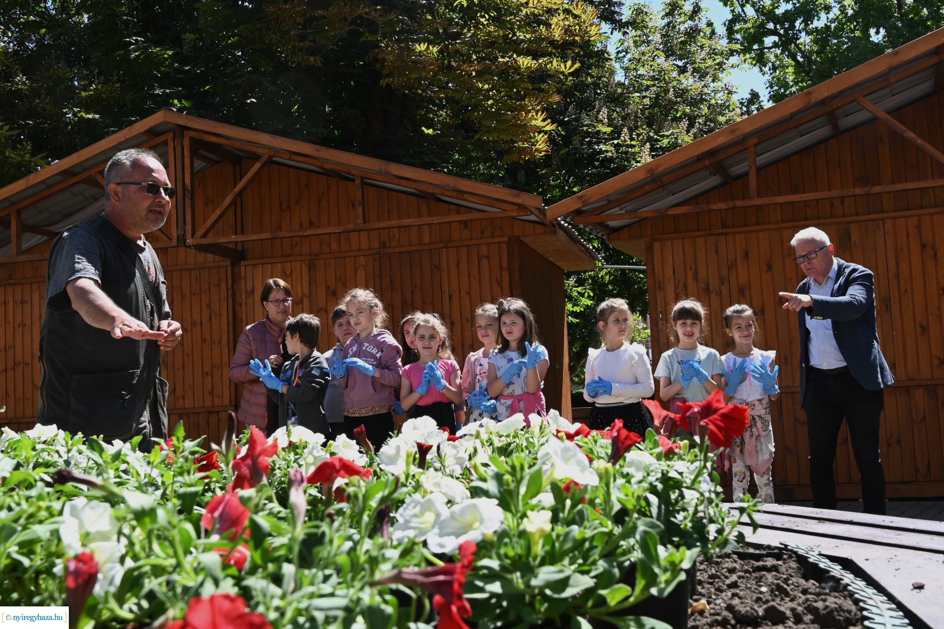 Az ÖKOSuli program keretében a belvárost virágosították a Petőfisek