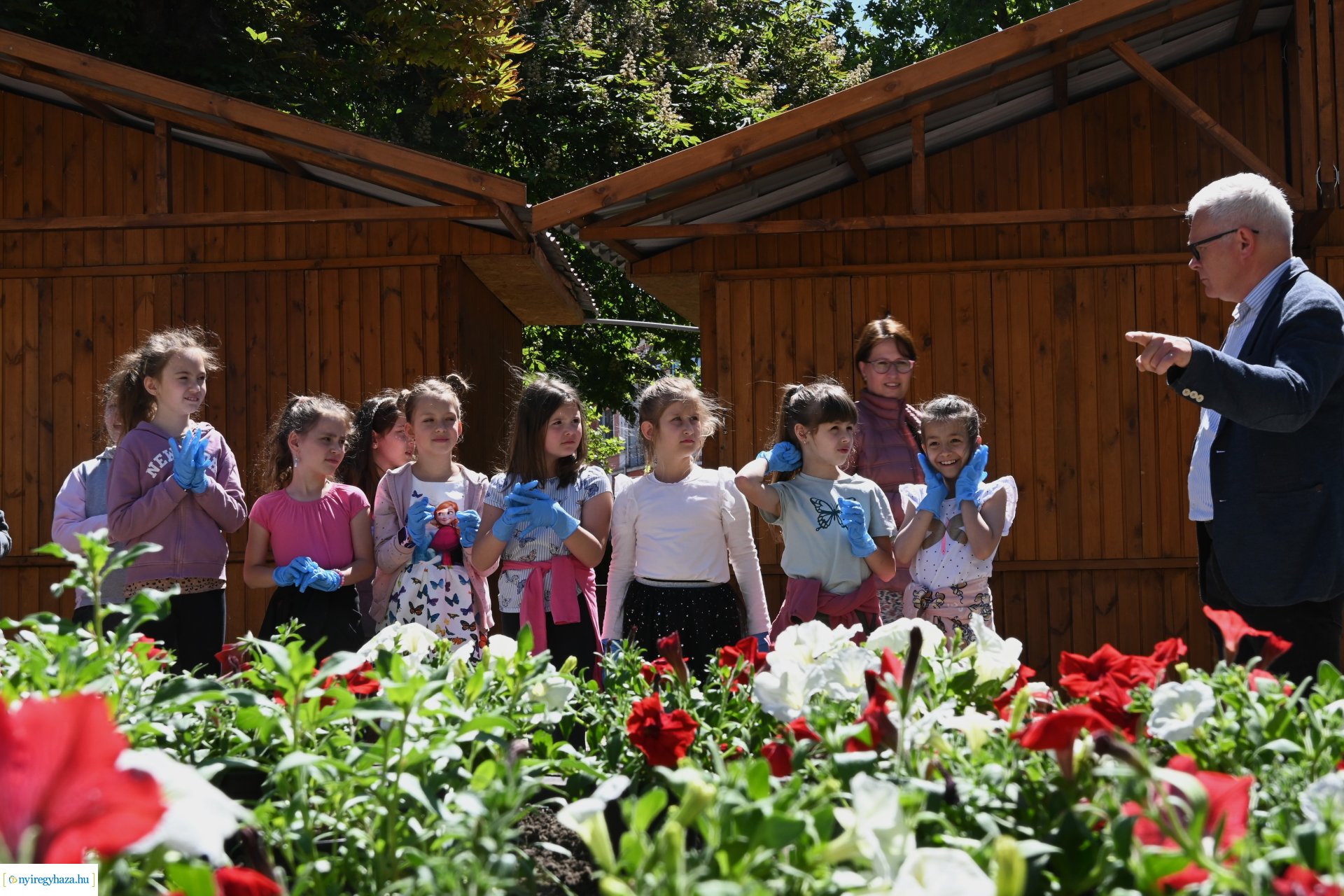 Az ÖKOSuli program keretében a belvárost virágosították a Petőfisek