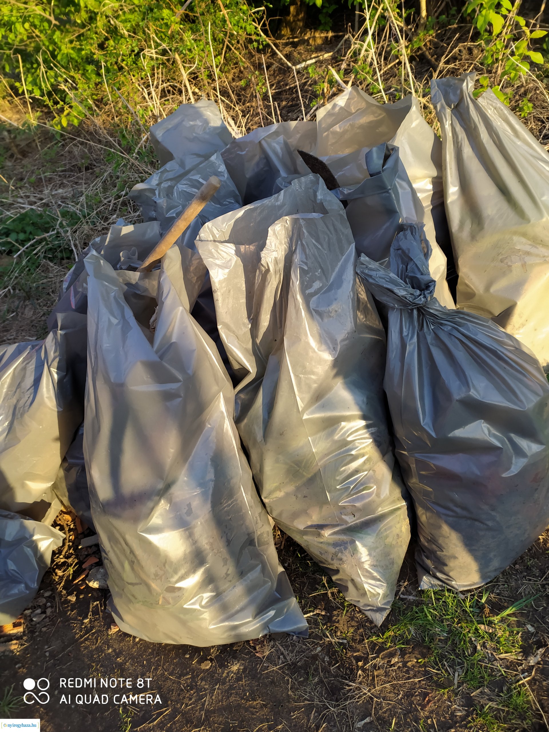 Az orosiak szemétszedést szerveztek a Föld napjára