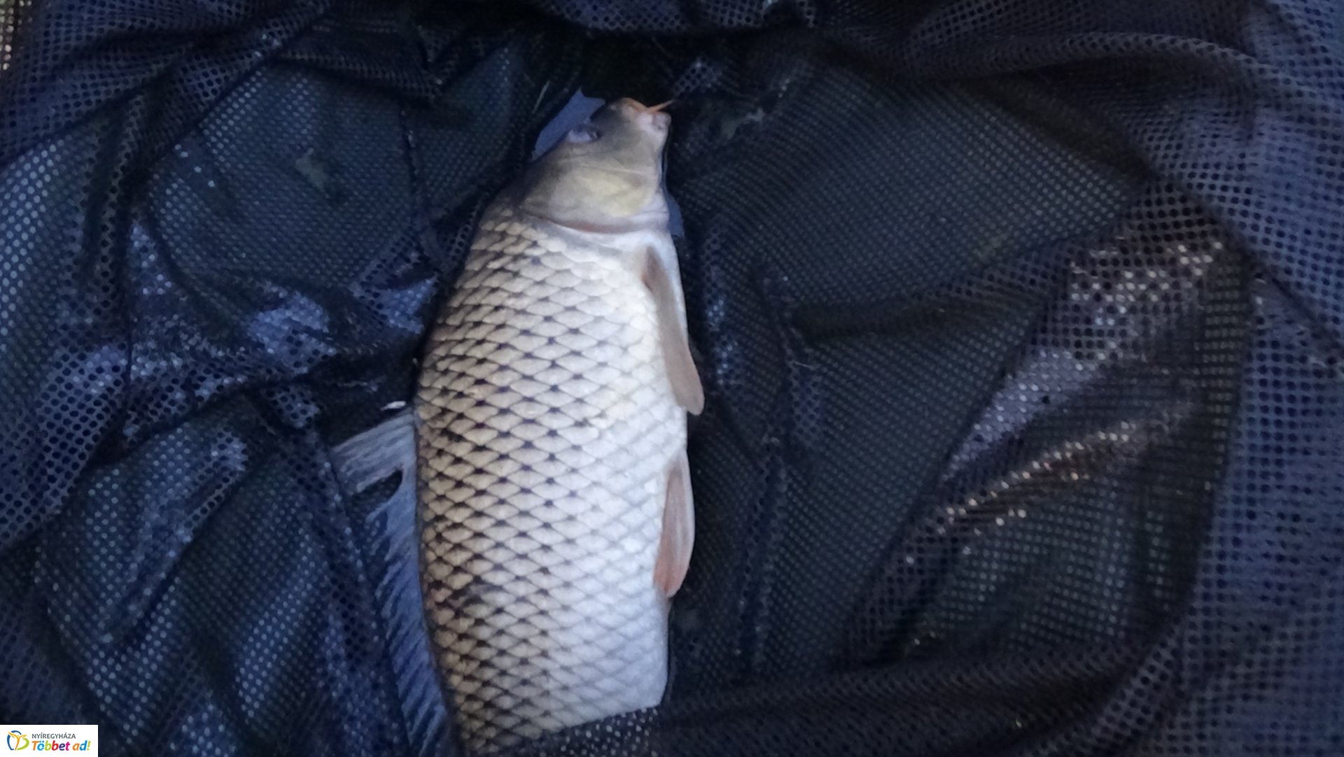 Az Országos Mentőszolgálat éves horgászversenye