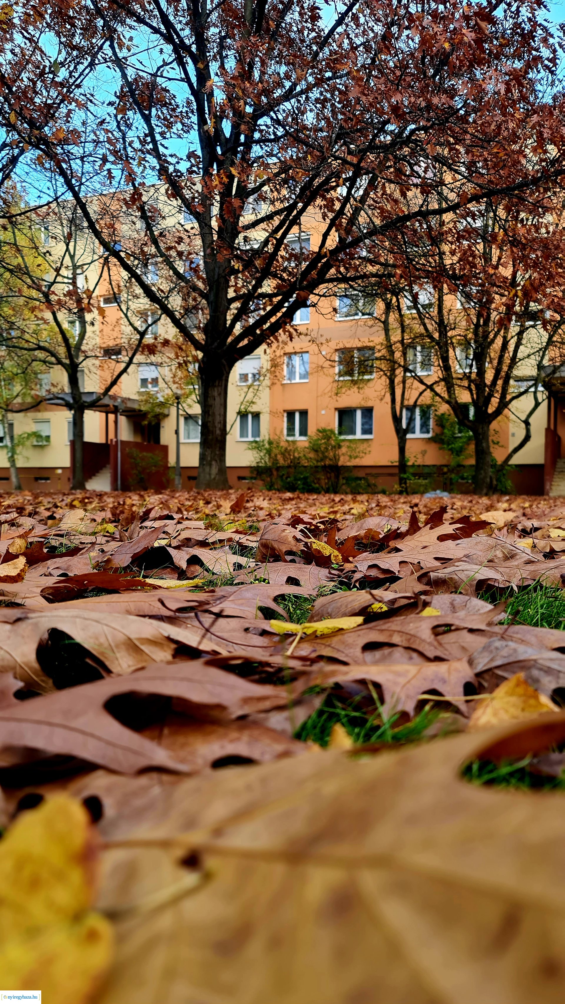 Az ősz színei Nyíregyházán