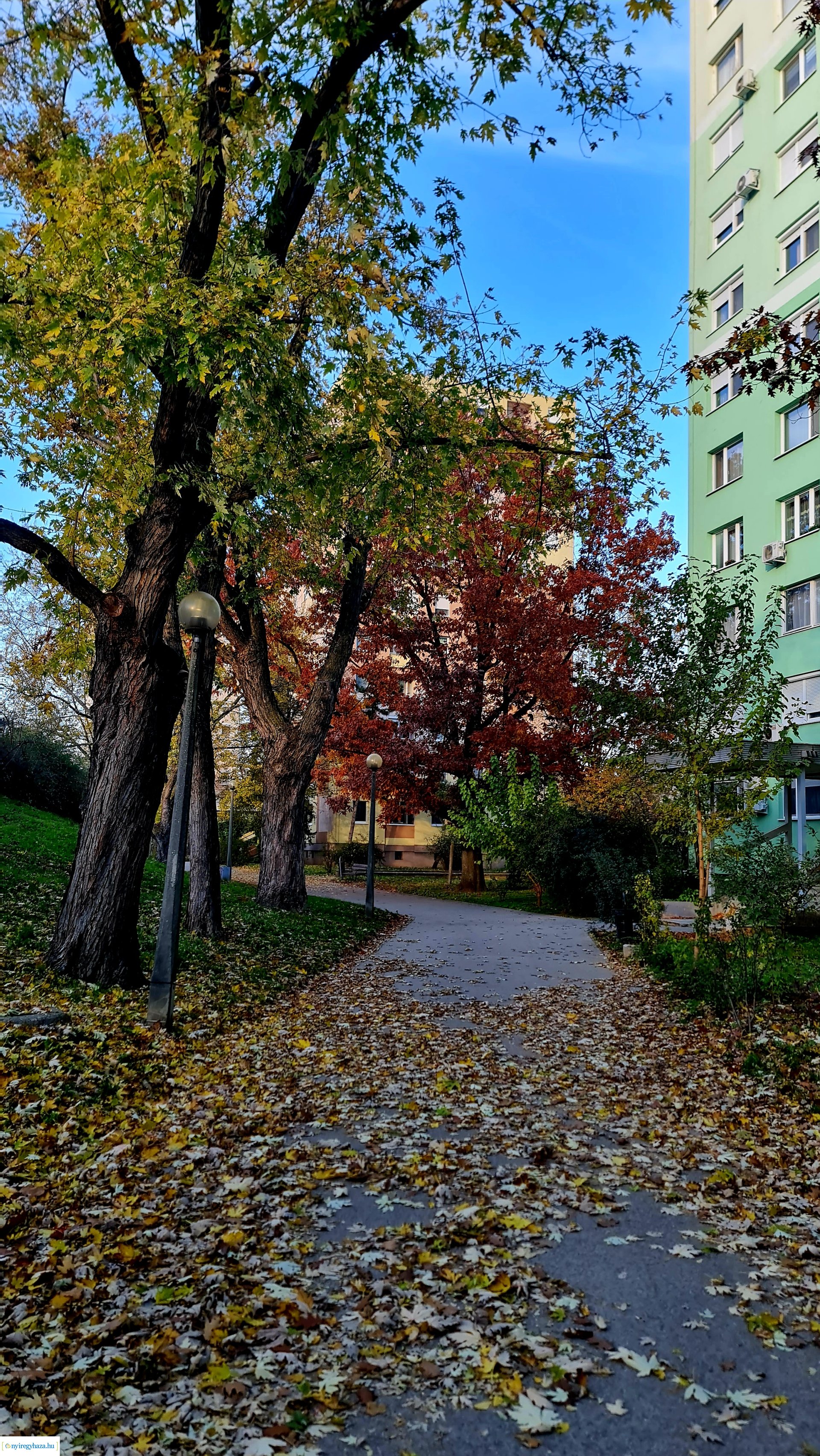 Az ősz színei Nyíregyházán