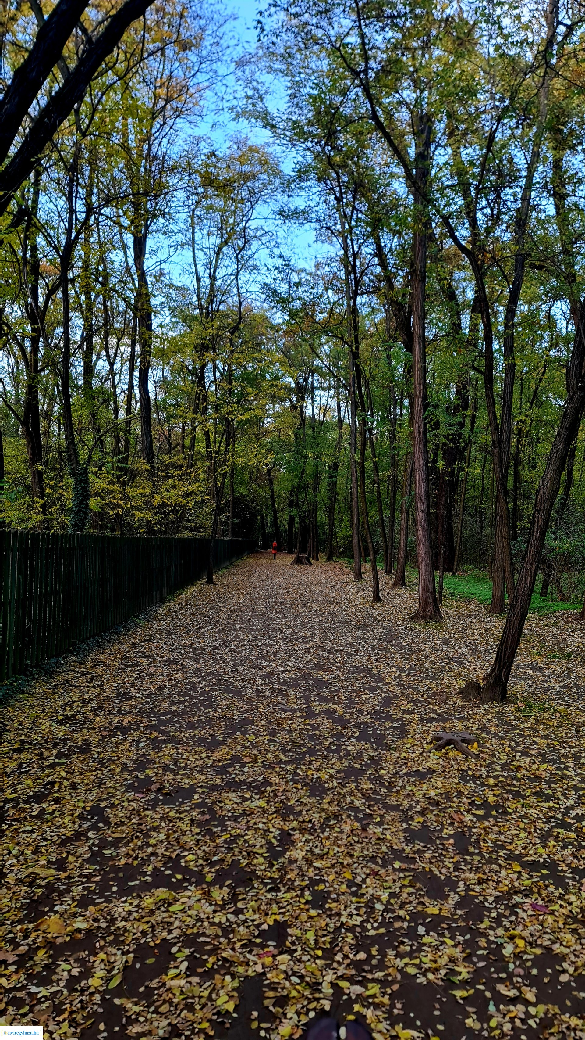 Az ősz színei Nyíregyházán