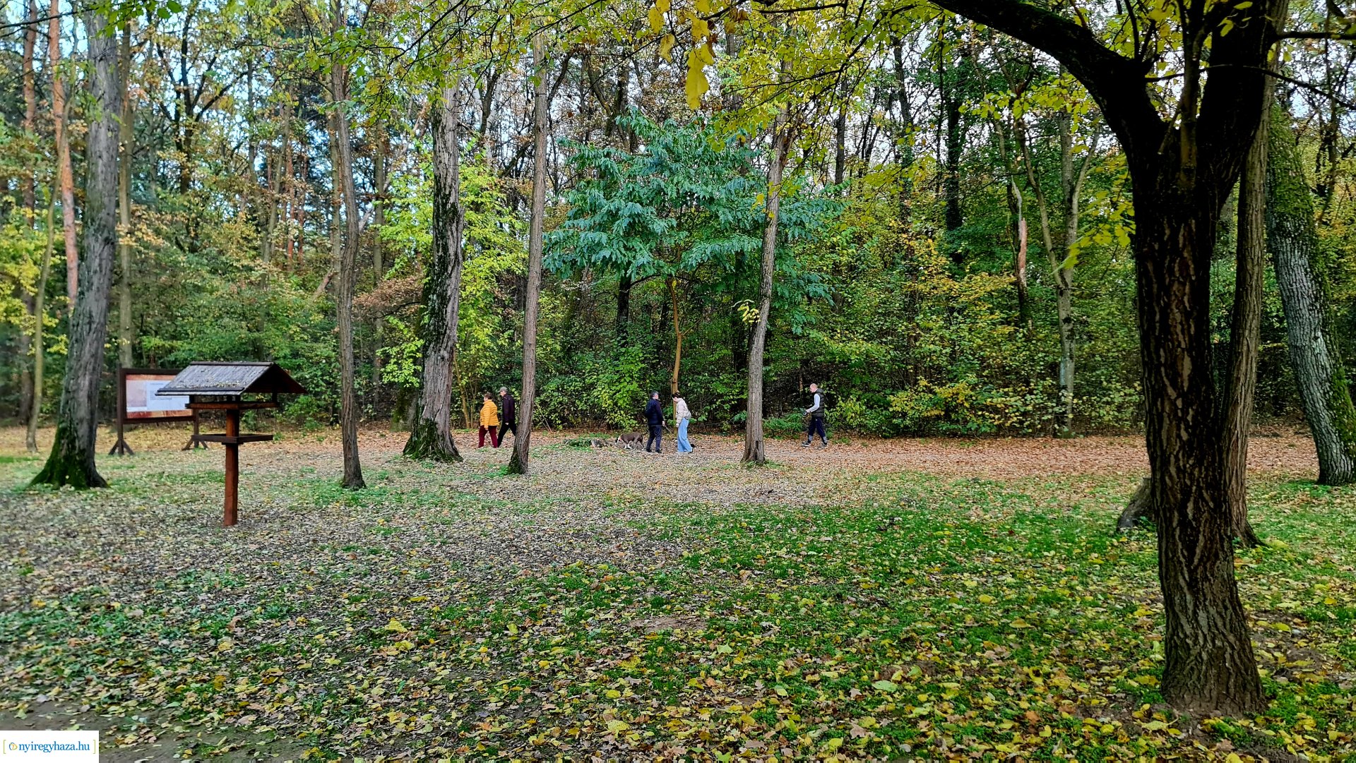 Az ősz színei Nyíregyházán