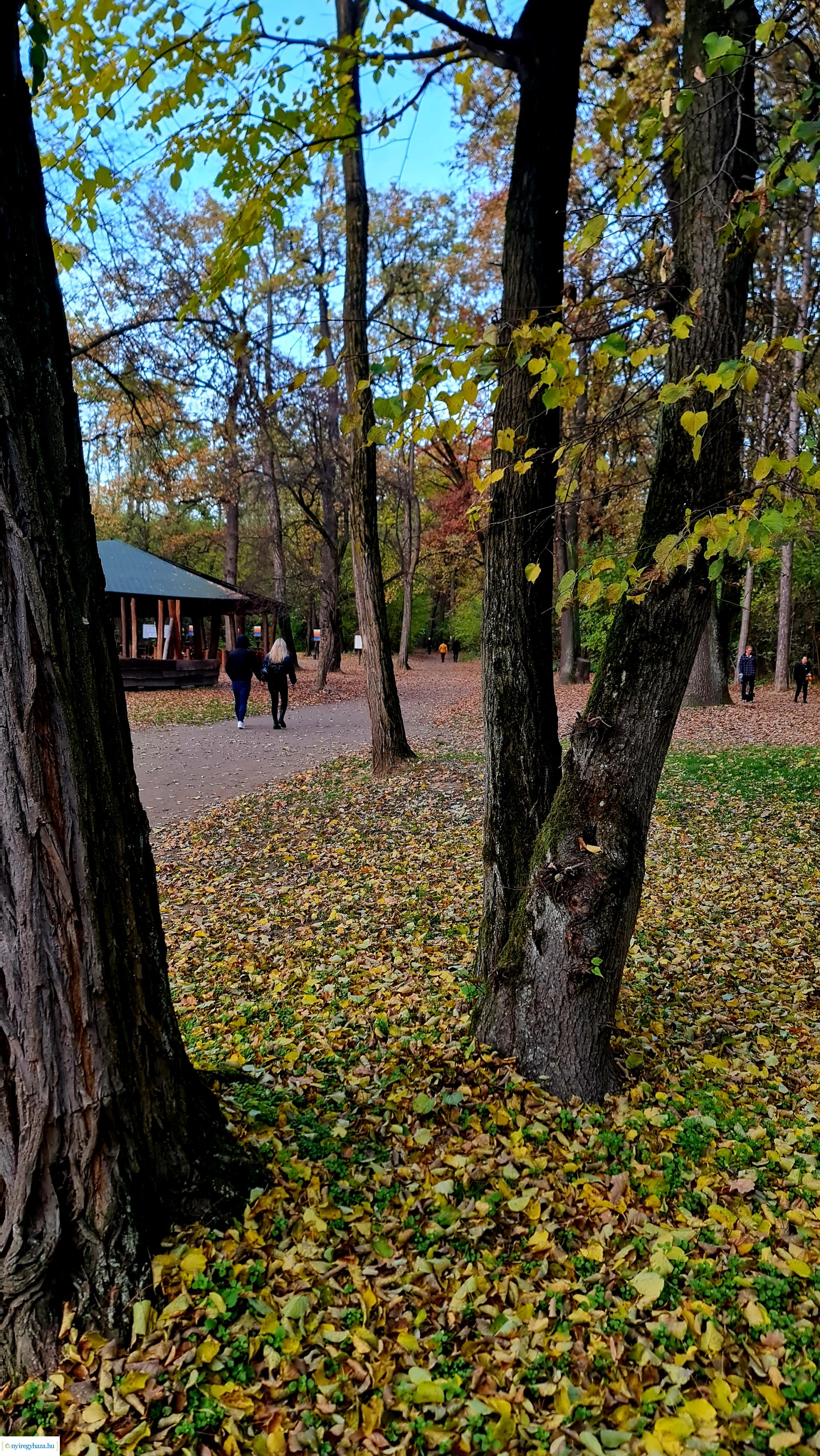 Az ősz színei Nyíregyházán