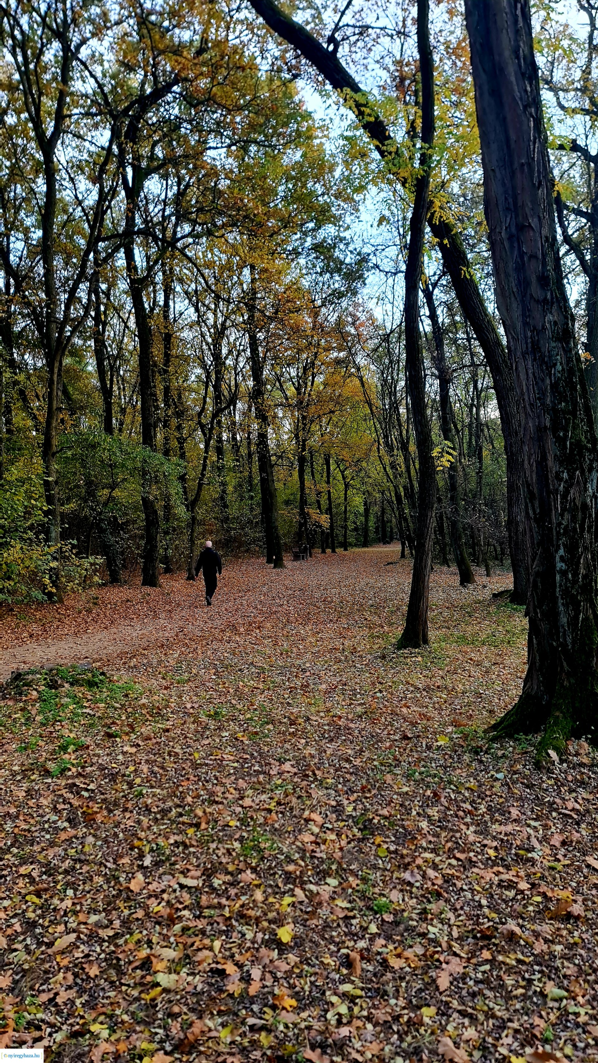 Az ősz színei Nyíregyházán