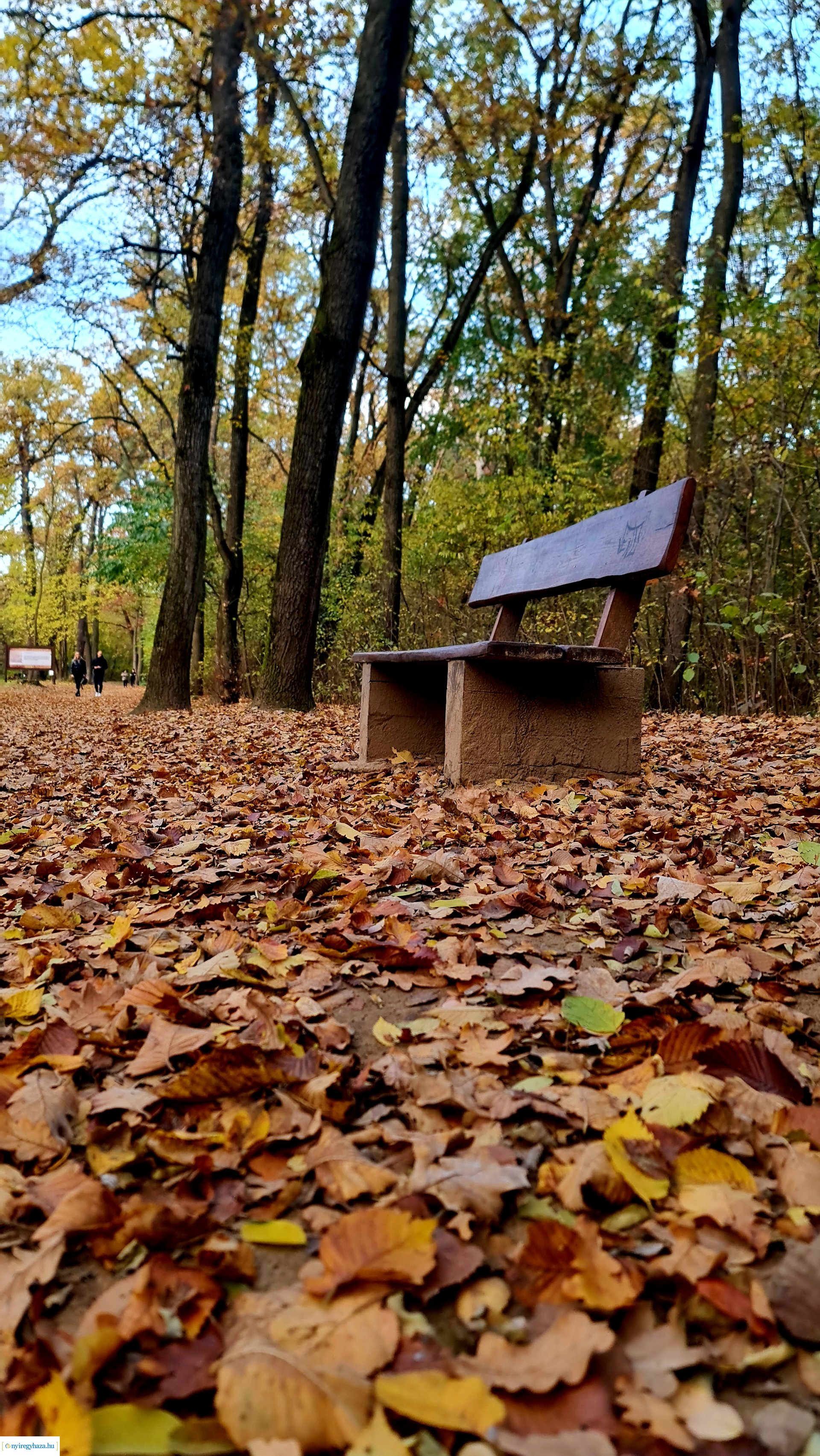 Az ősz színei Nyíregyházán