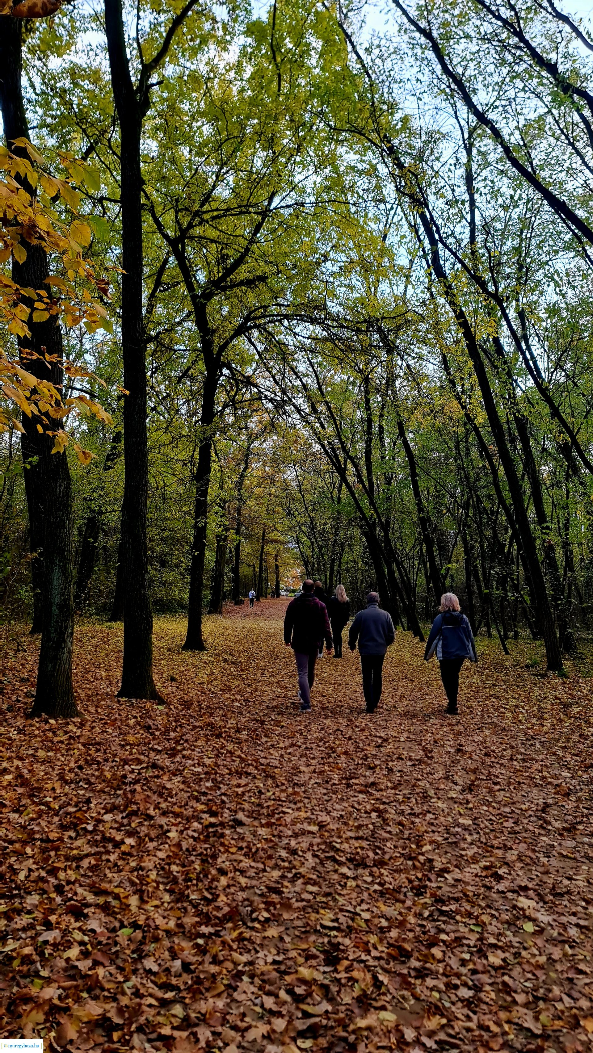 Az ősz színei Nyíregyházán