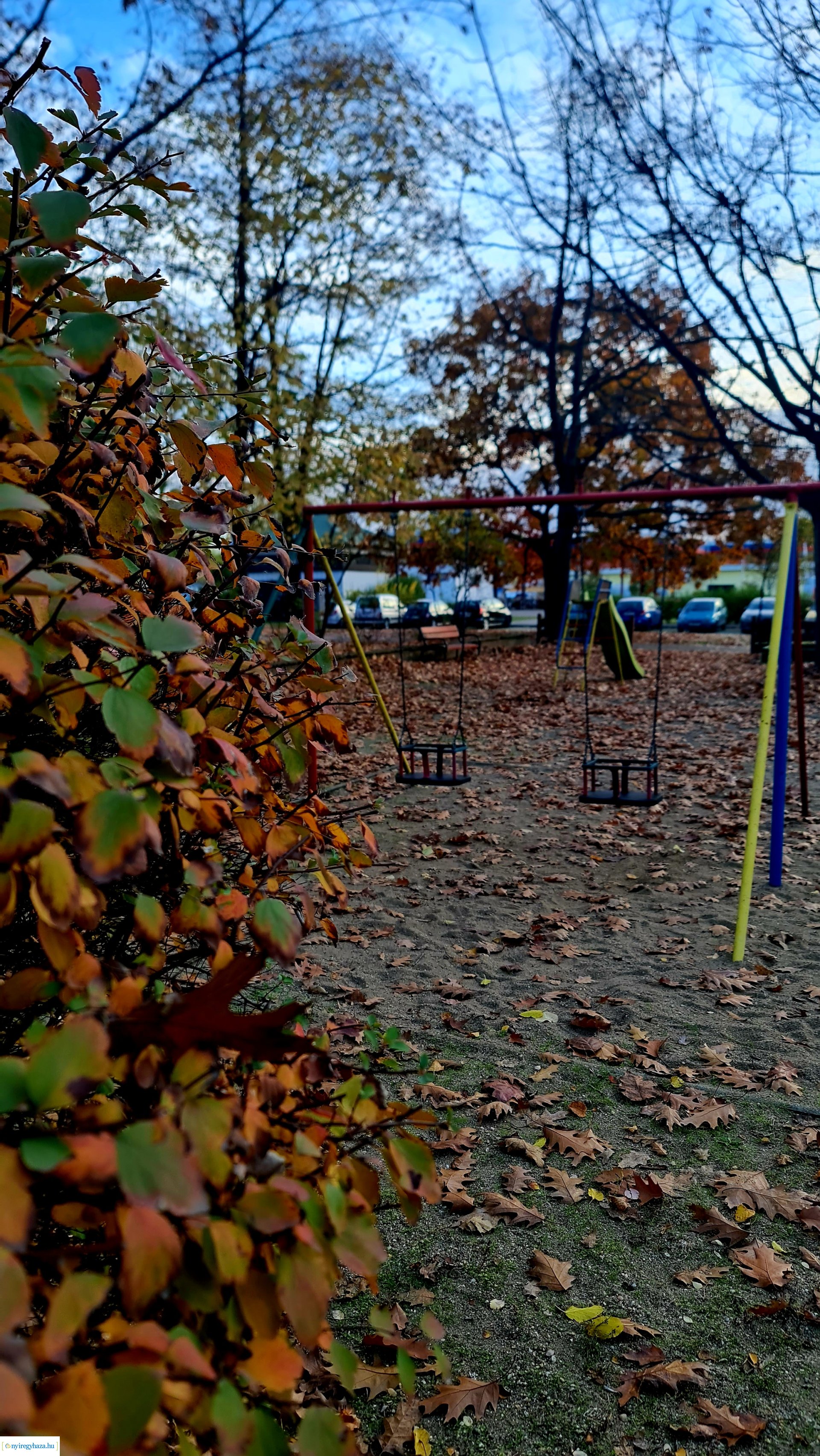 Az ősz színei Nyíregyházán