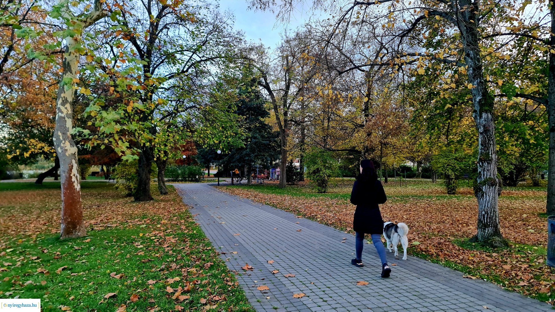 Az ősz színei Nyíregyházán